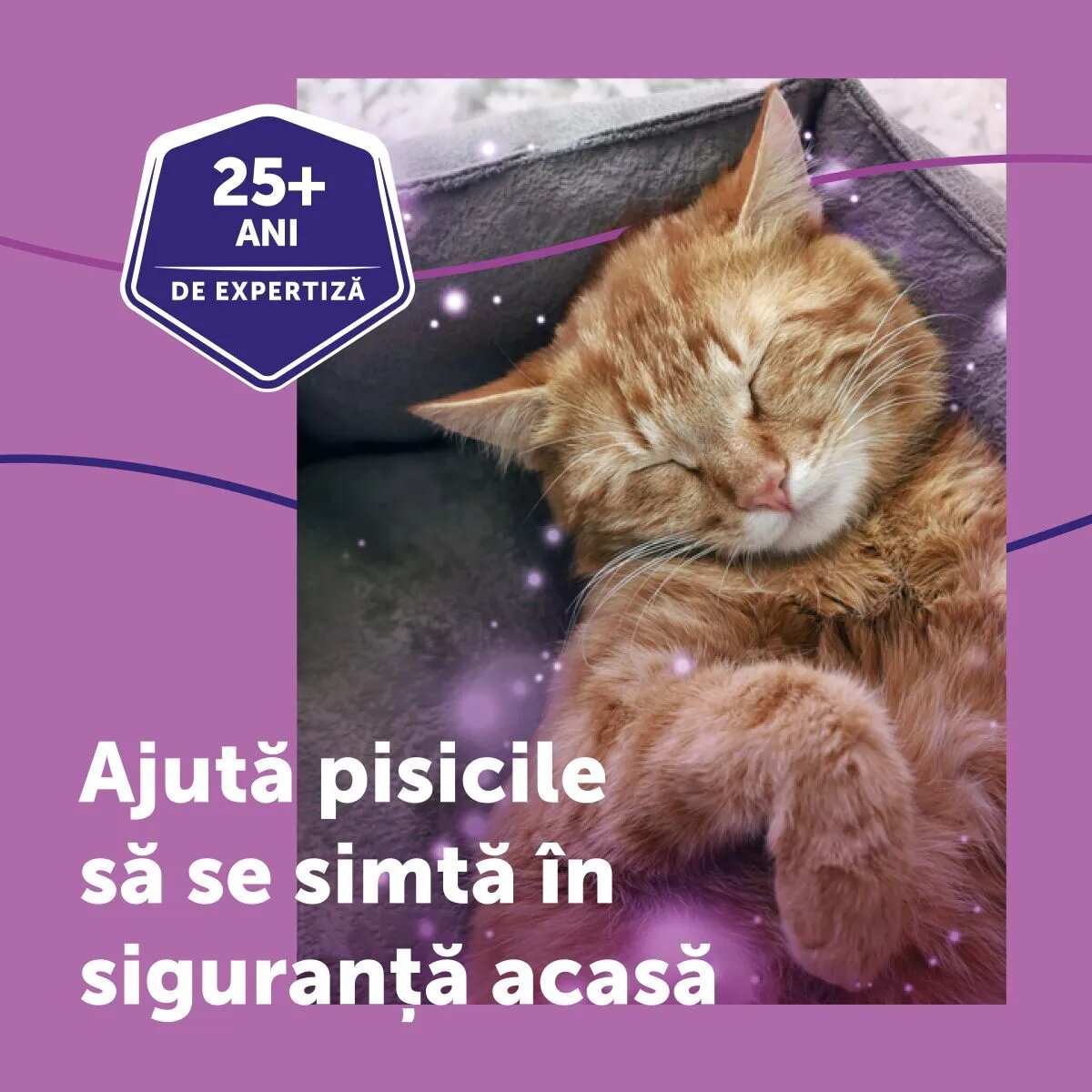 FELIWAY Diffuser Anti Stres Pentru Pisici 48 ml