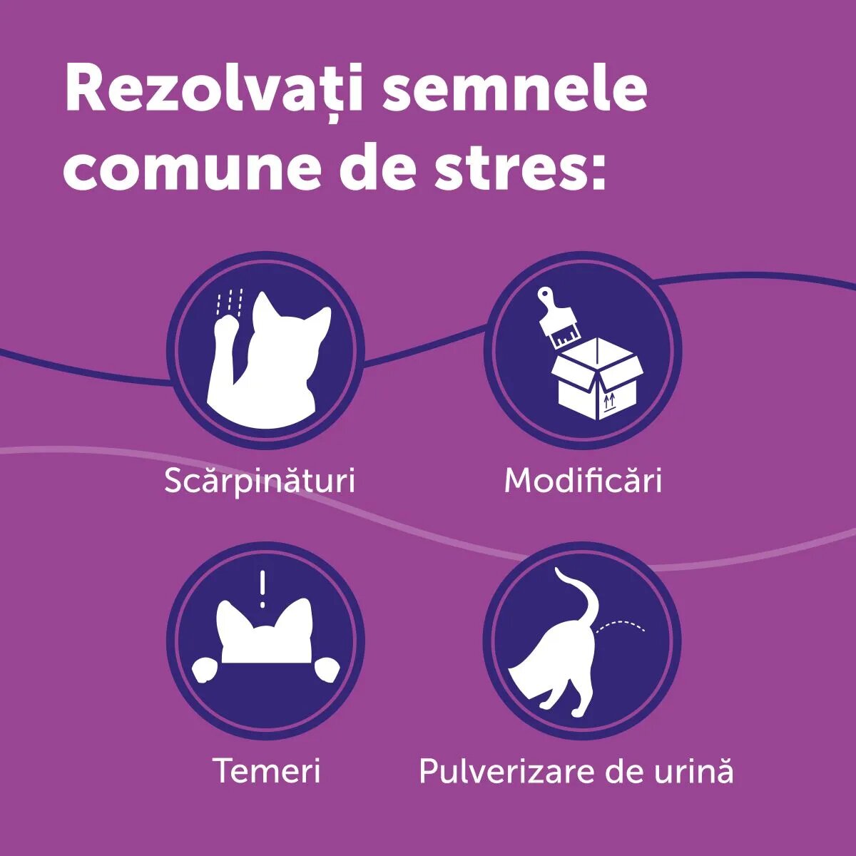 FELIWAY Diffuser Anti Stres Pentru Pisici 48 ml