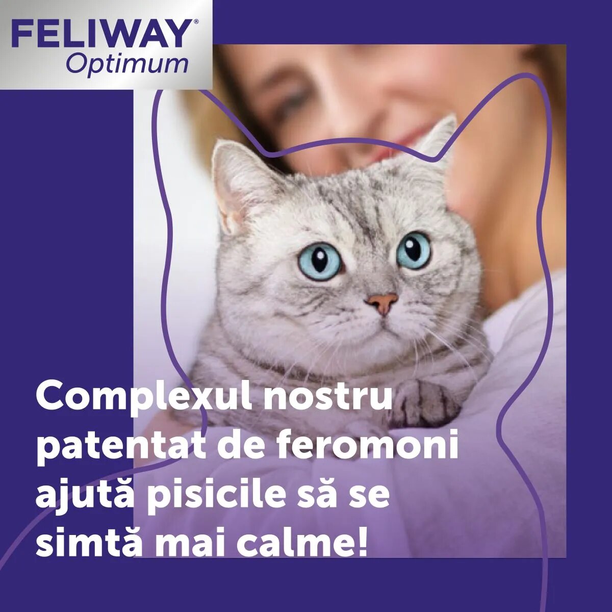 FELIWAY Optimum Diffuser și Rezervă feromoni sistem nervos & calmante pisici 1buc + 48ml