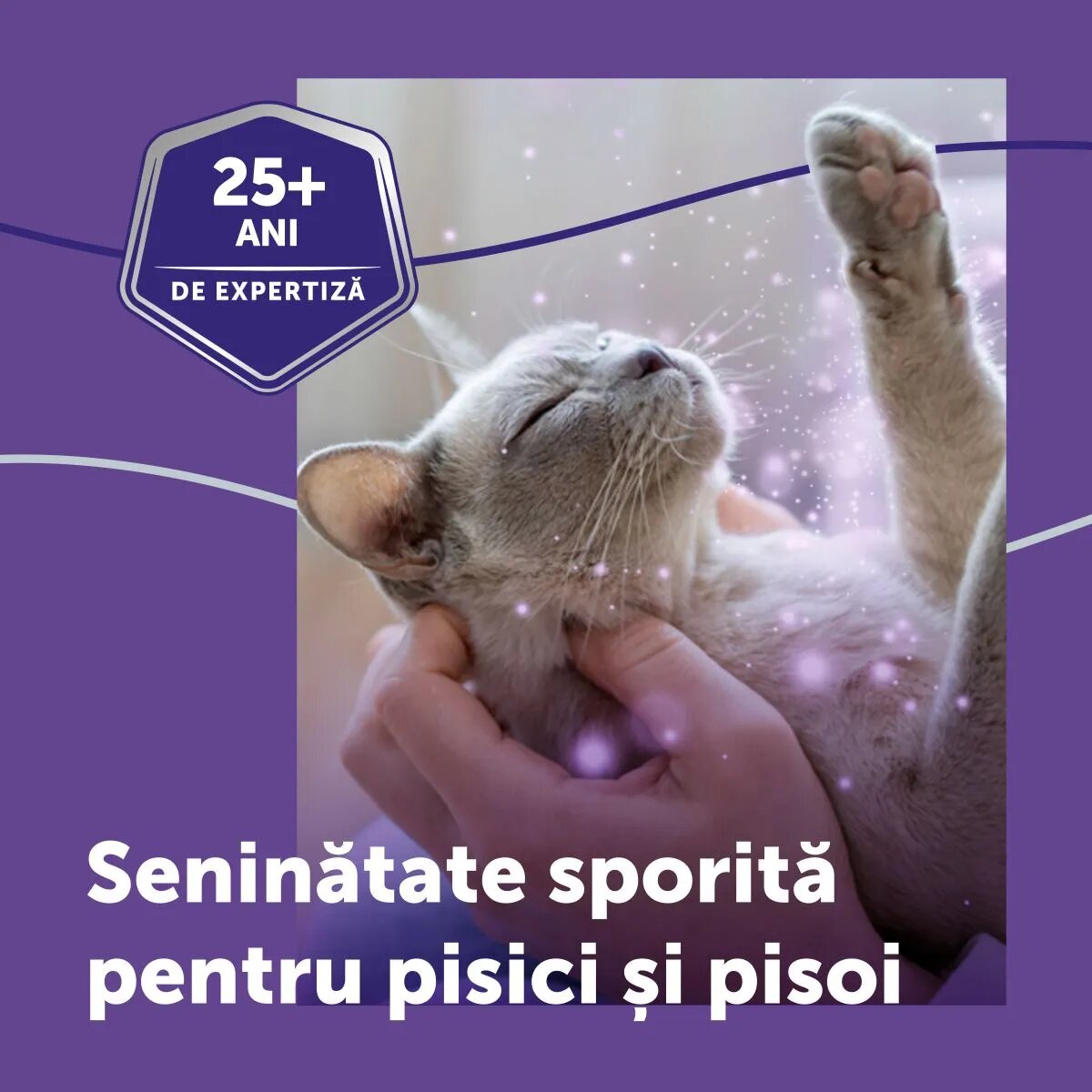 FELIWAY Optimum Diffuser și Rezervă feromoni sistem nervos & calmante pisici 1buc + 48ml