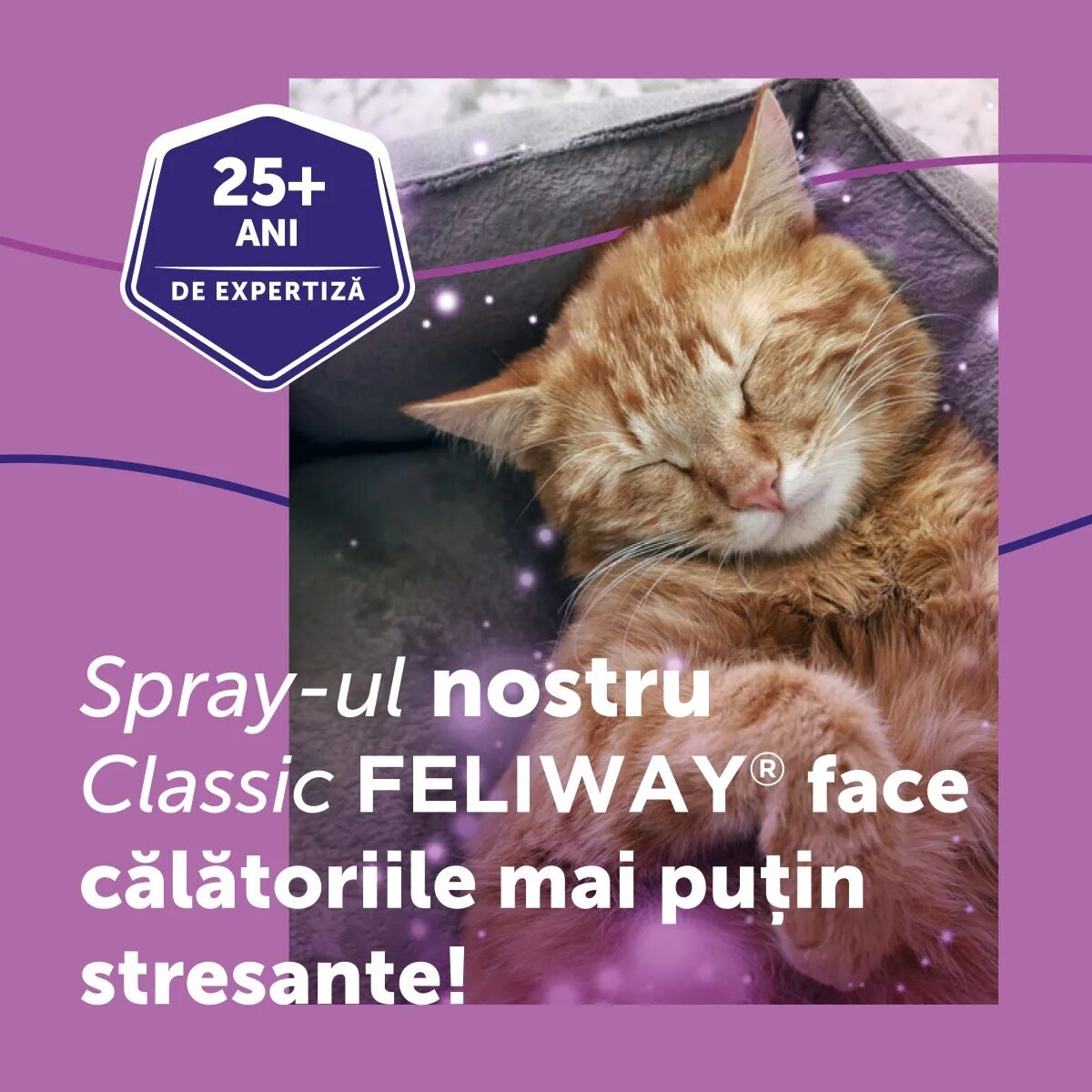 FELIWAY Spray 60 ml