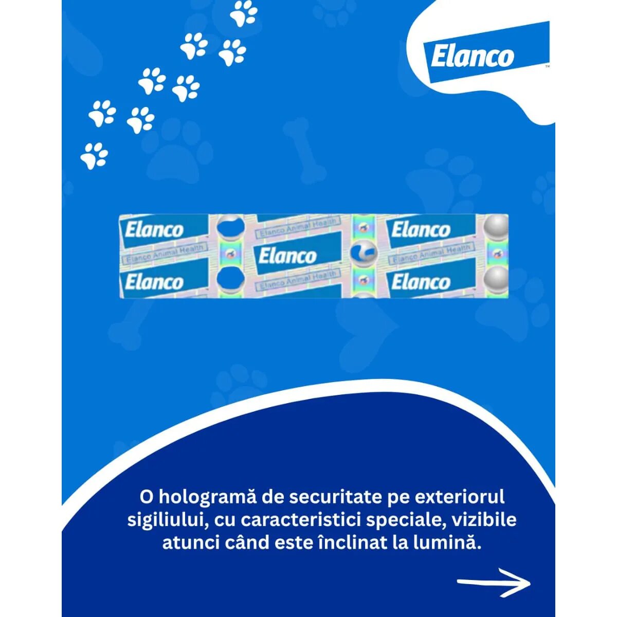 Foresto deparazitare externă câini zgardă deparazitare externă câini și pisici zgardă XS - S 38 cm gri 1buc