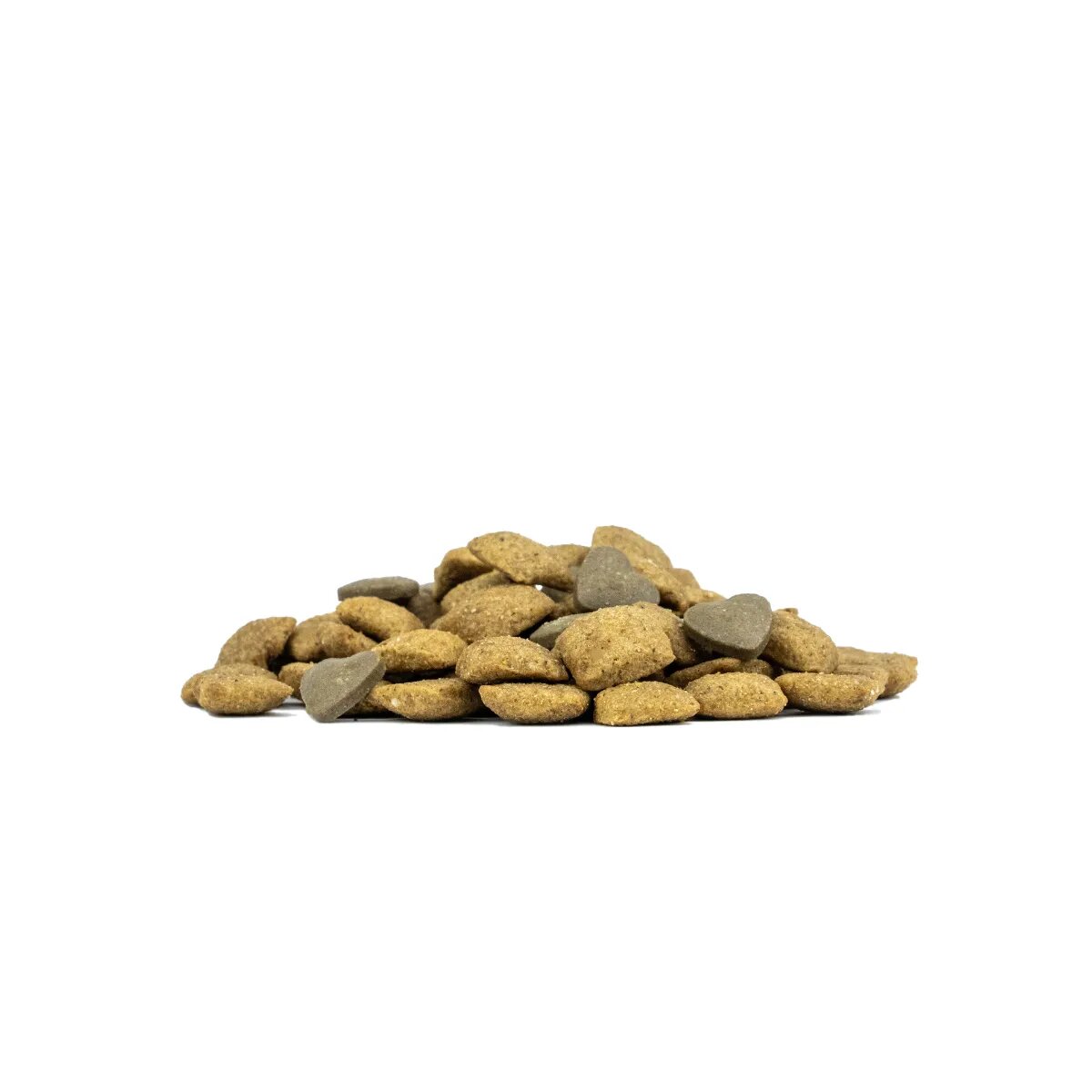 FORZA10 Active VetDiet Intestinal XS-XL Pește dietă veterinară hrană uscată monoproteică câini sistem digestiv 10kg