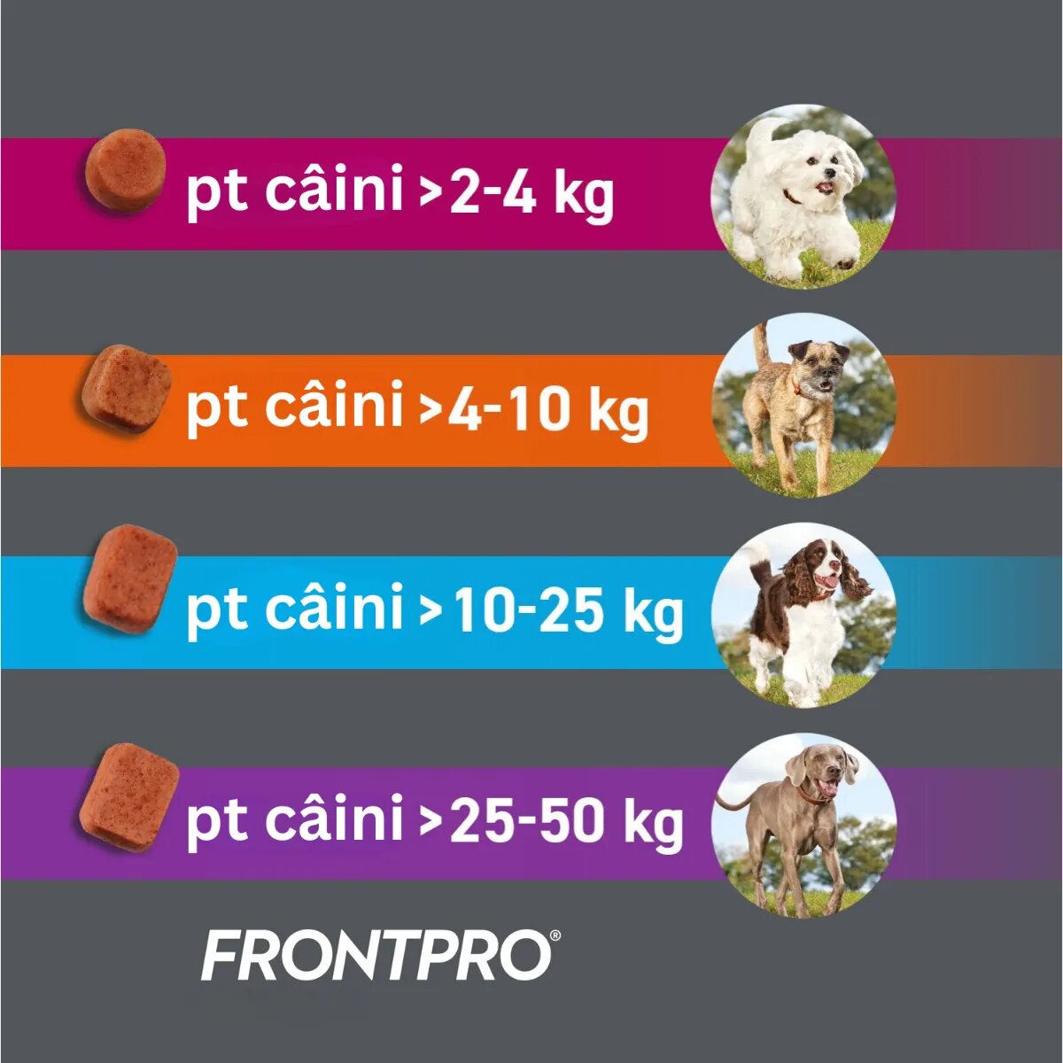 Frontpro deparazitare externă câini comprimate masticabile deparazitare externă câini XS-S(2 - 4kg) comprimate masticabile 11mg x 3buc