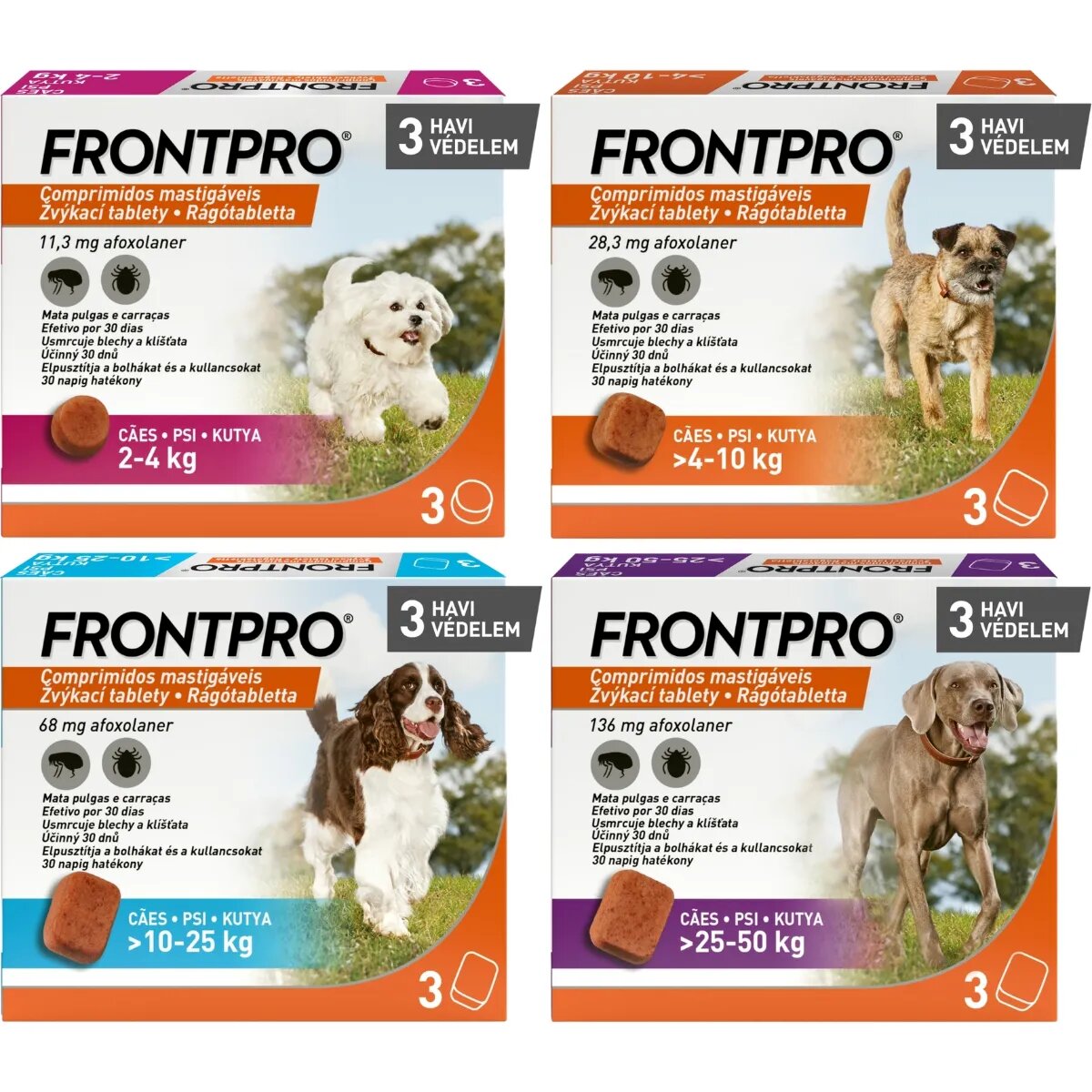 Frontpro deparazitare externă câini comprimate masticabile deparazitare externă câini XS-S(2 - 4kg) comprimate masticabile 11mg x 3buc