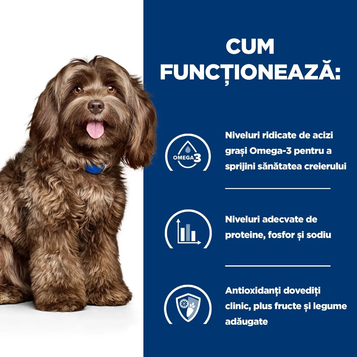 HILL'S Prescription Diet b/d Ageing and Alertness Care Pui dietă veterinară câini senior hrană uscată 12kg