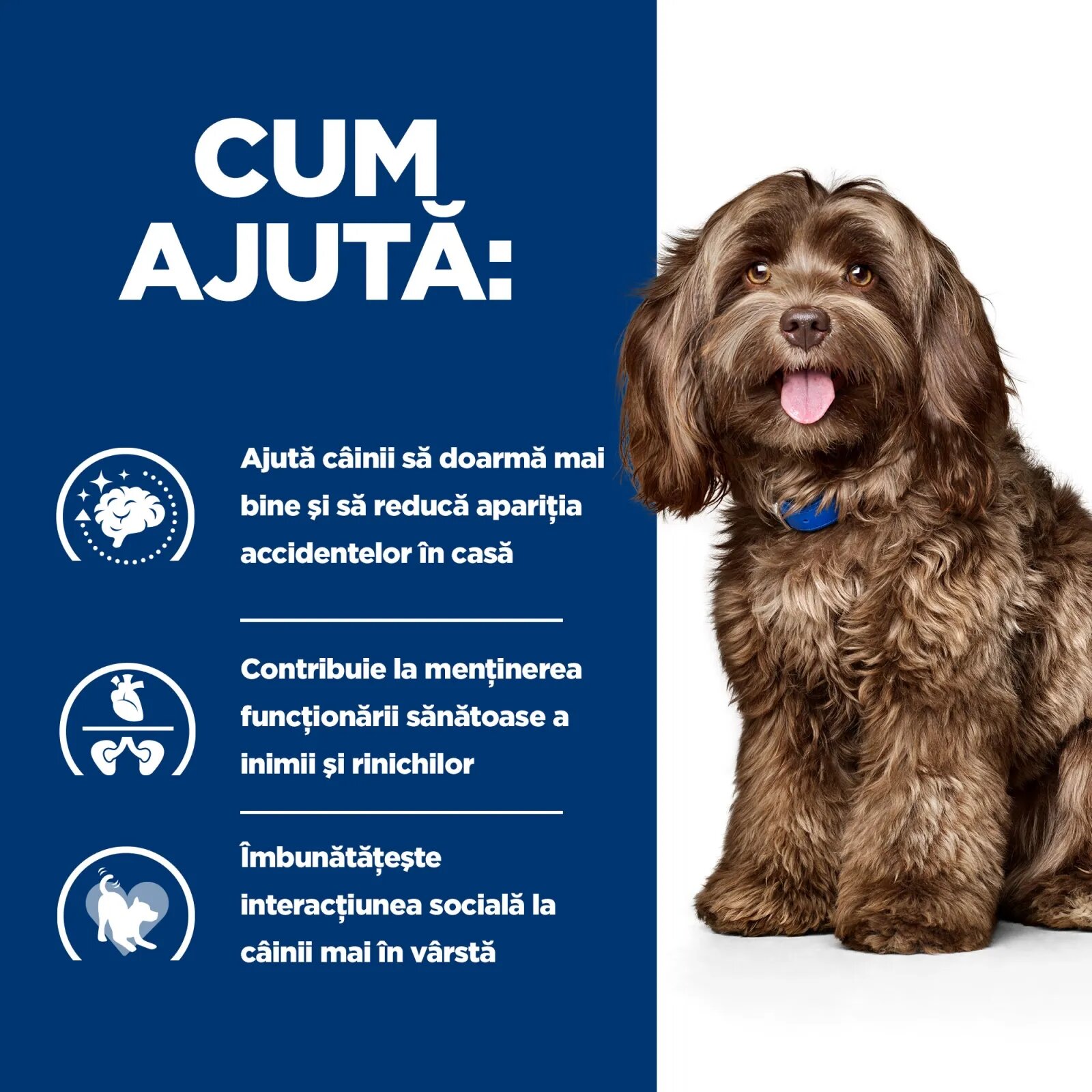 HILL'S Prescription Diet b/d Ageing and Alertness Care Pui dietă veterinară câini senior hrană uscată sistem nervos & calmante 3kg