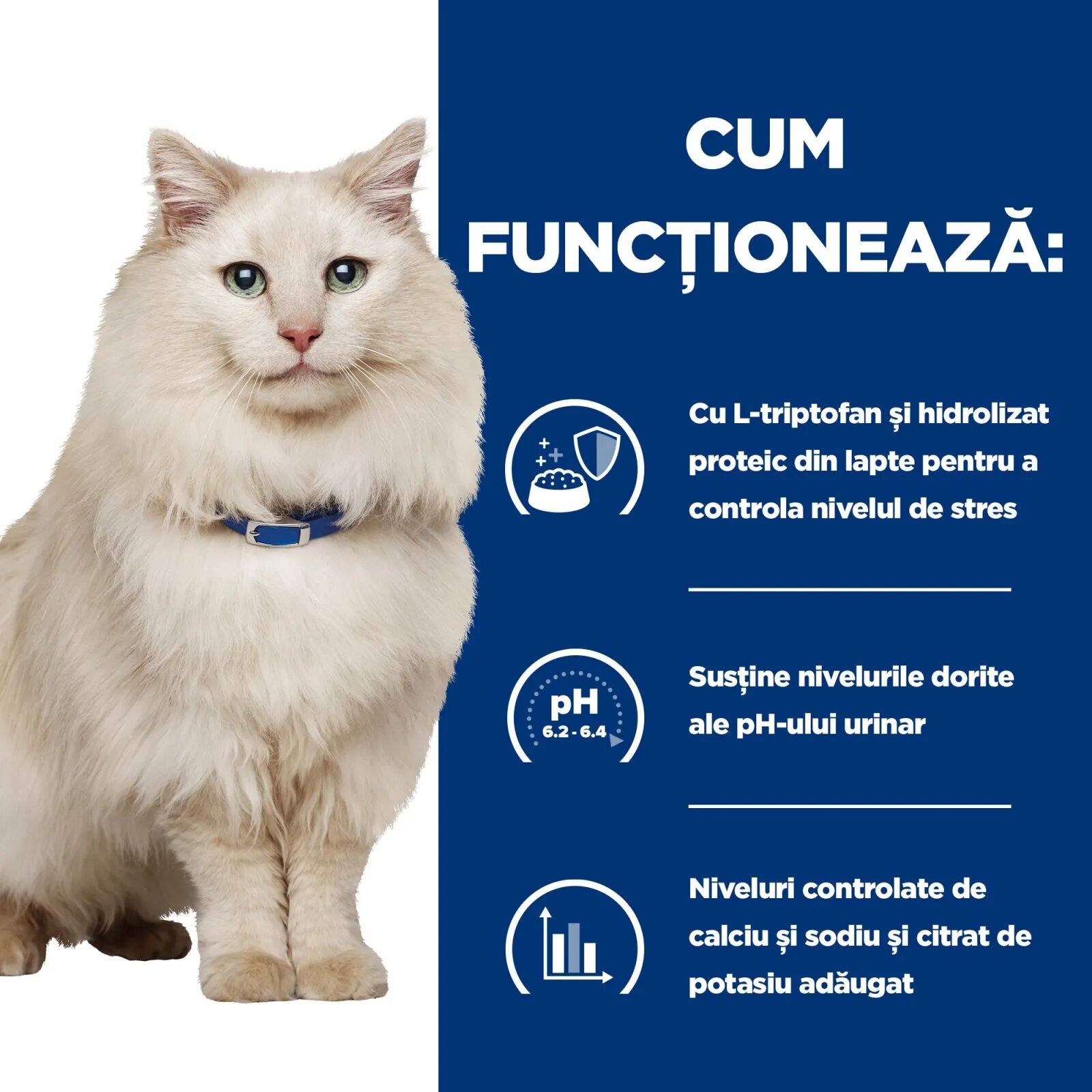 HILL'S Prescription Diet c/d Multicare Stress Pește oceanic dietă veterinară pisici hrană uscată sistem urinar sistem nervos 8kg