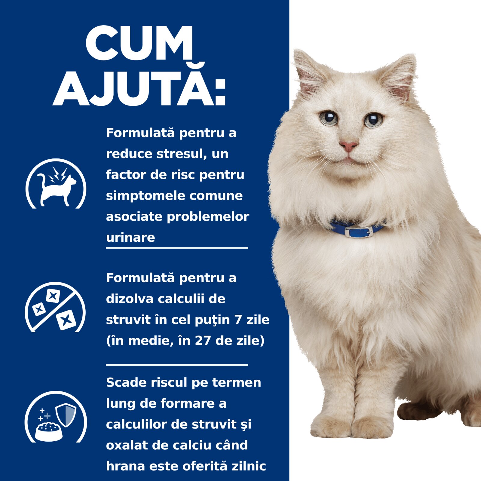 HILL'S Prescription Diet c/d Multicare Stress Pește oceanic dietă veterinară pisici hrană uscată sistem urinar sistem nervos 8kg