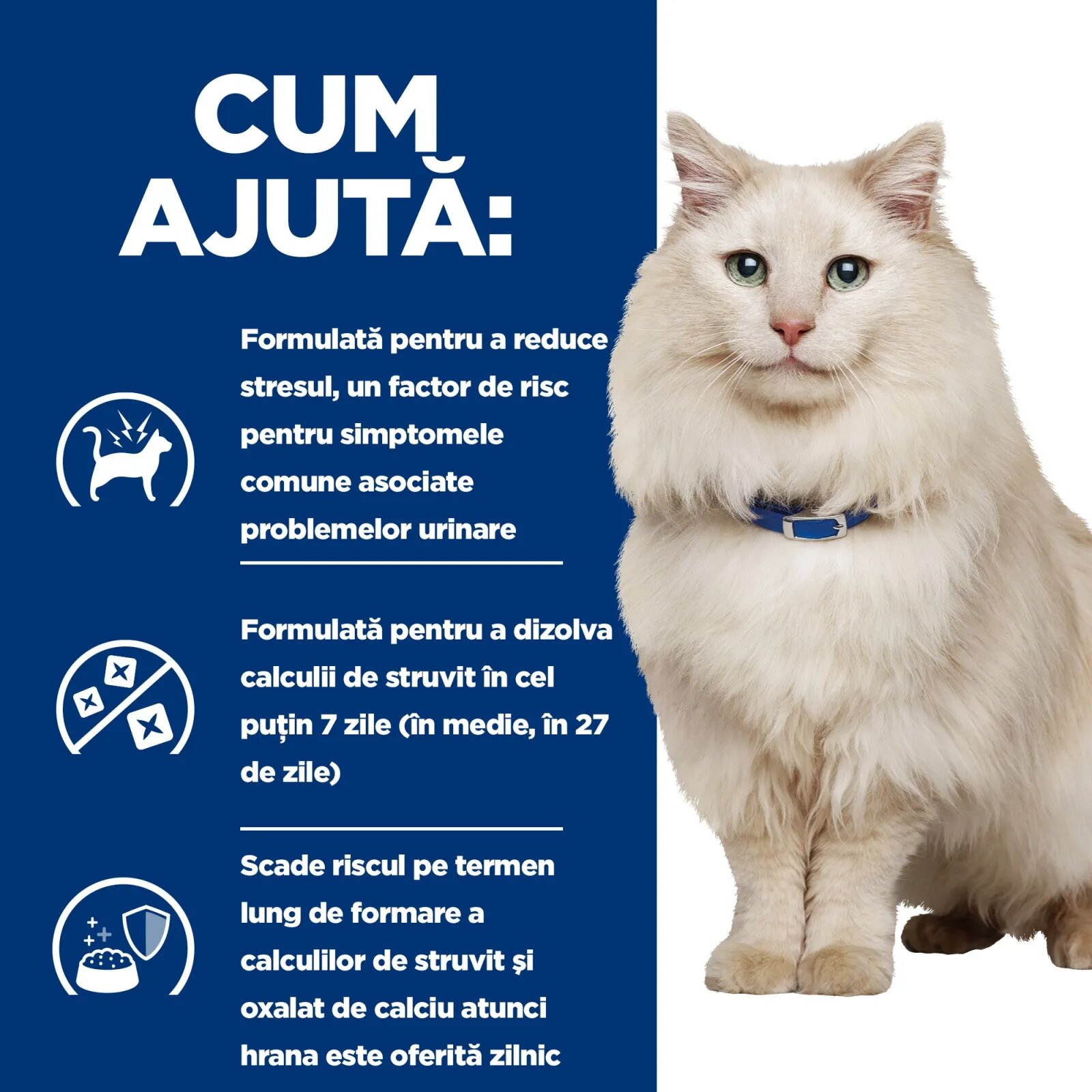 HILL'S Prescription Diet c/d Multicare Stress Somon dietă veterinară plic hrană umedă pisici sistem urinar (în sos) bax 85g x 12buc