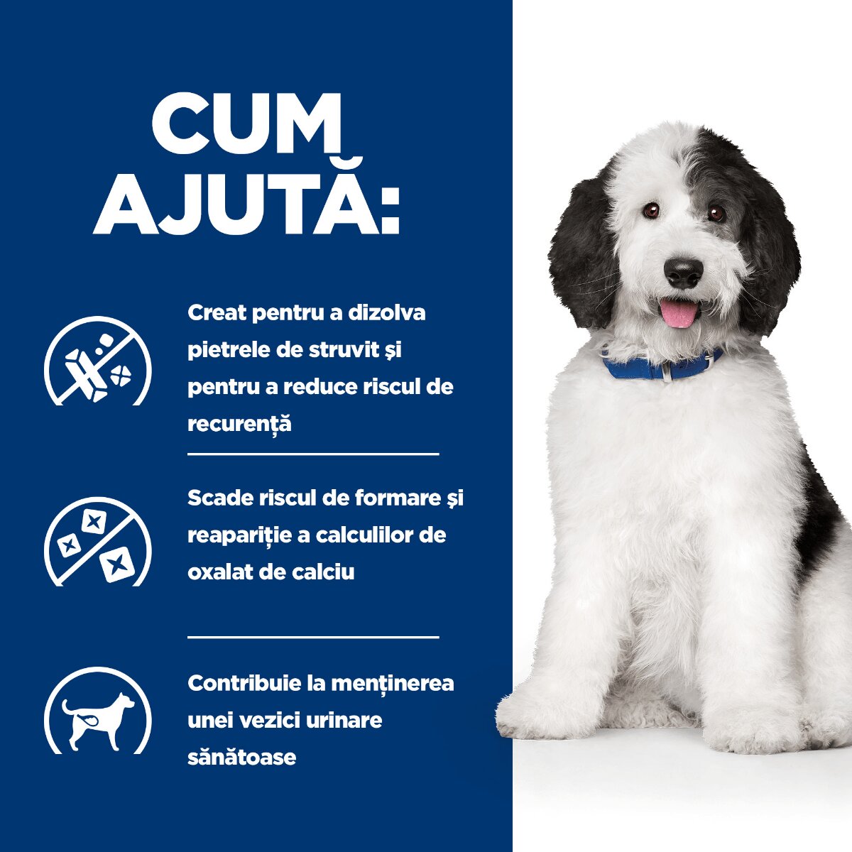 HILL'S Prescription Diet c/d Pui dietă veterinară câini conservă hrană umedă sistem urinar 370g