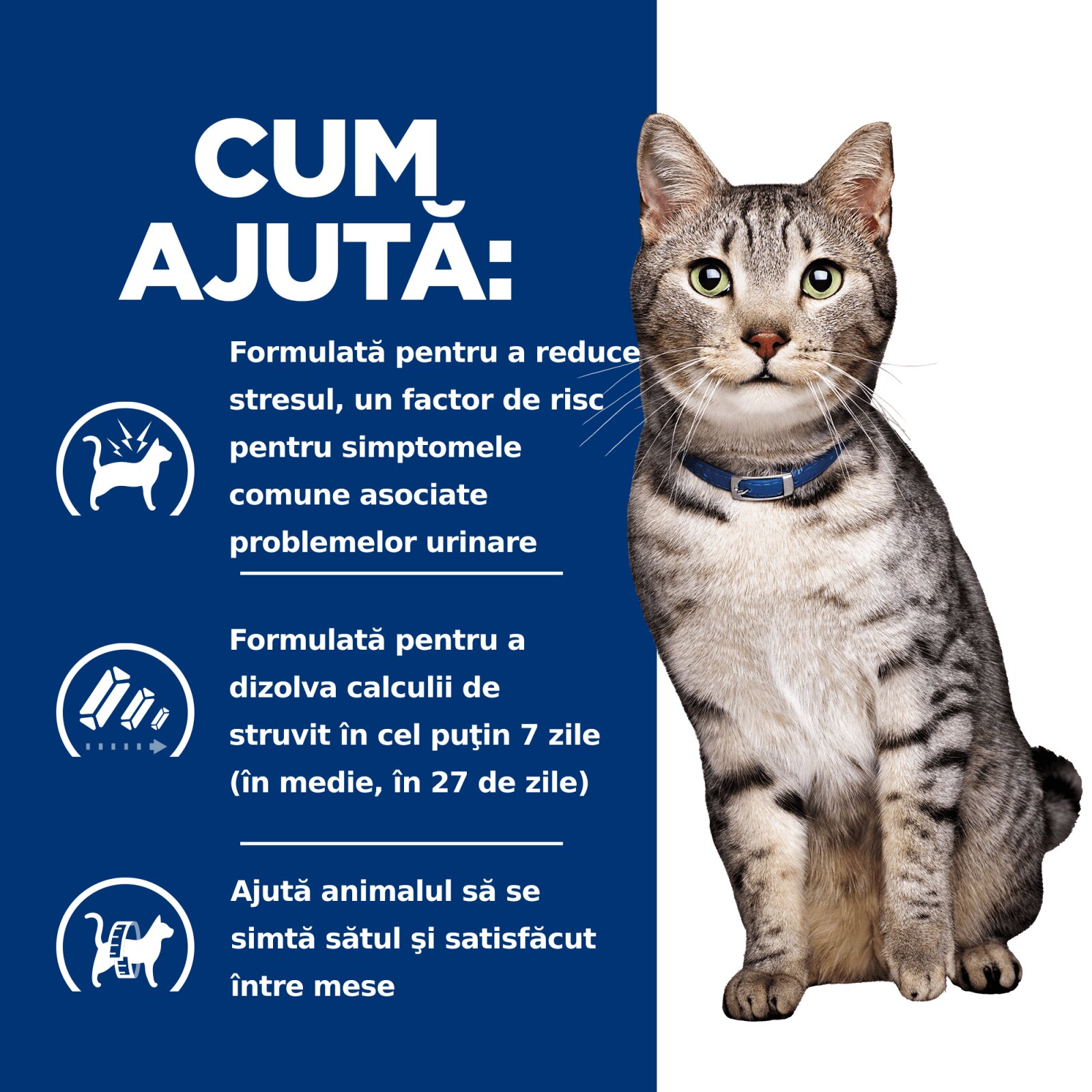 HILL'S Prescription Diet c/d Stress + Metabolic Pui dietă veterinară pisici hrană uscată sistem urinarsistem nervos metabolism 3kg