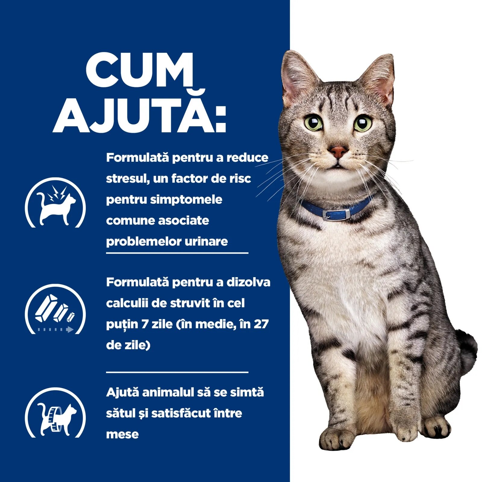 HILL'S Prescription Diet c/d Stress + Metabolic Pui dietă veterinară pisici plic hrană umedă sistem urinar metabolism (în sos) bax 85g x 12buc