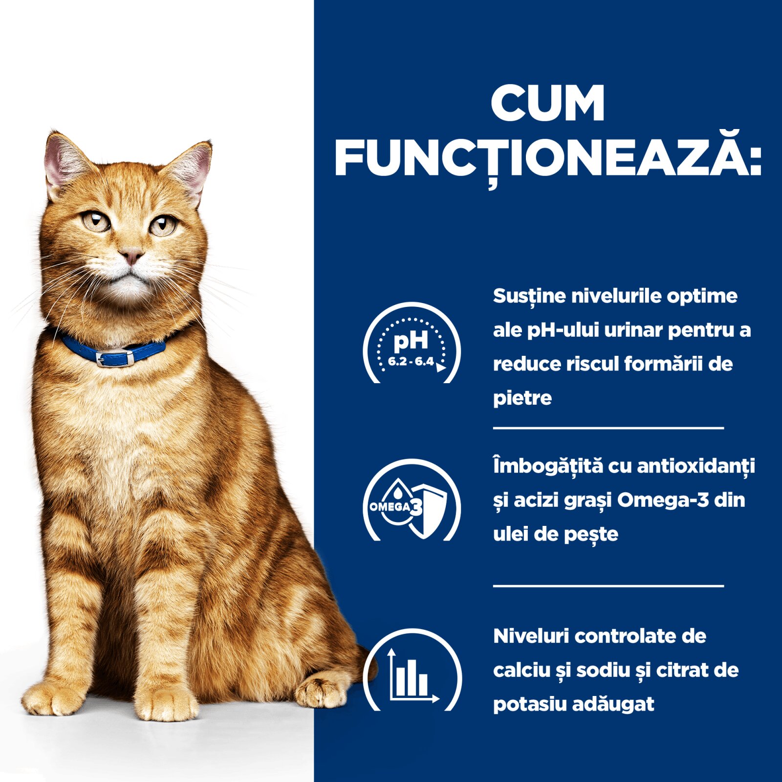 HILL'S Prescription Diet c/d Urinary Pui cu Legume dietă veterinară pisici conservă hrană umedă afecțiuni urinare c/d Urinary Care Pui cu Legume dietă veterinară pisici conservă hrană umedă sistem urinar (în sos) 82g
