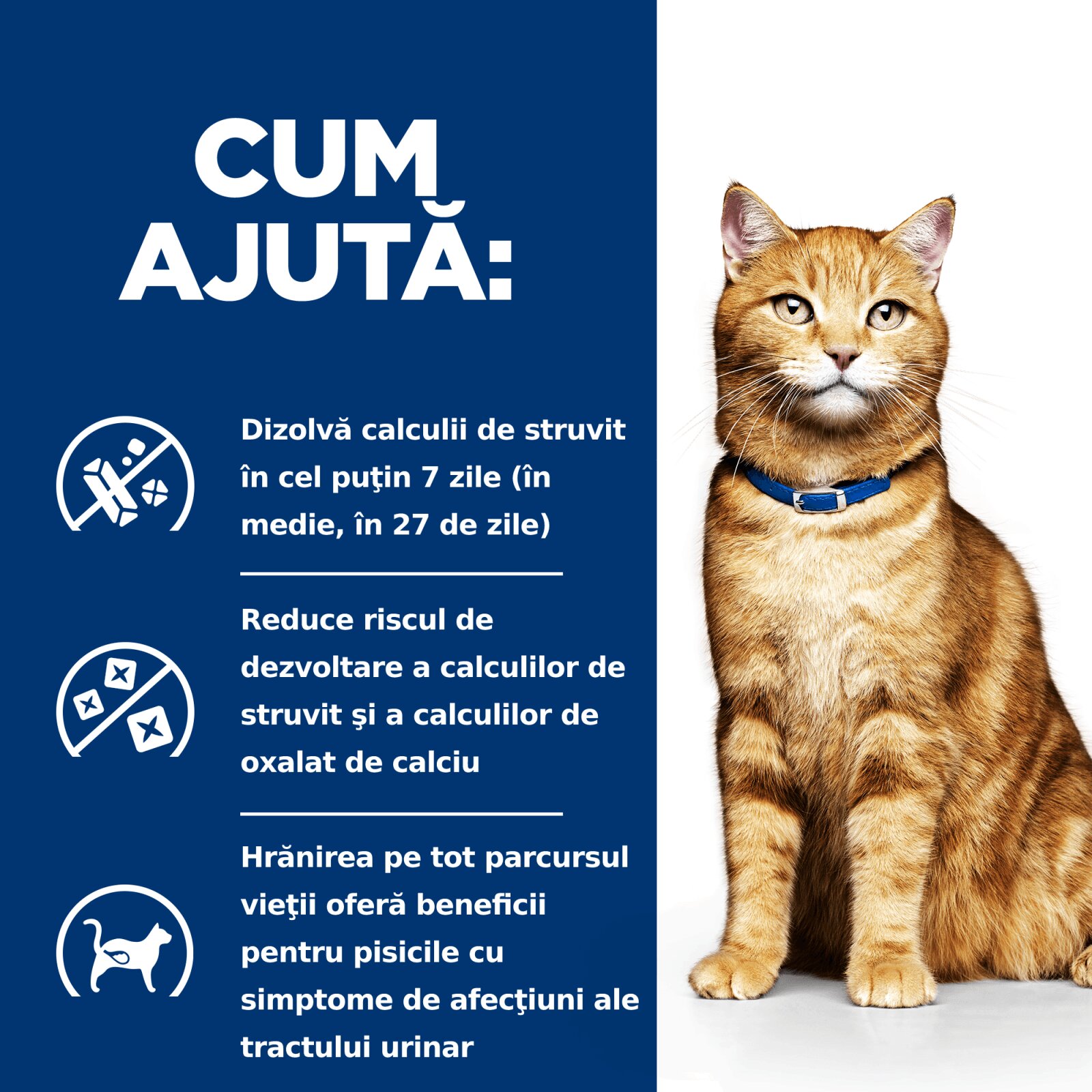 HILL'S Prescription Diet c/d Urinary Pui cu Legume dietă veterinară pisici conservă hrană umedă afecțiuni urinare c/d Urinary Care Pui cu Legume dietă veterinară pisici conservă hrană umedă sistem urinar (în sos) 82g