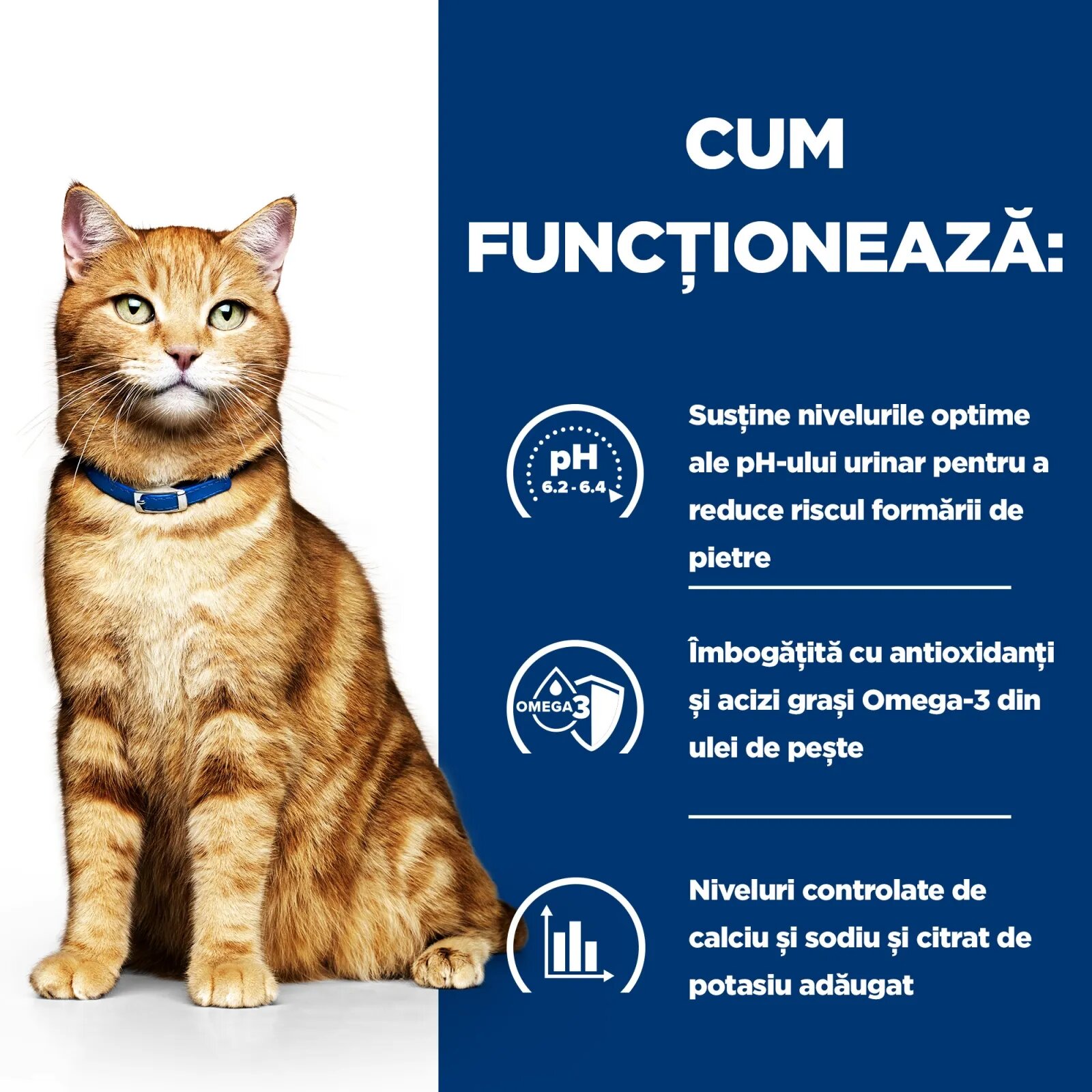 HILL'S Prescription Diet c/d Urinary Pui cu Legume dietă veterinară pisici conservă hrană umedă afecțiuni urinare c/d Urinary Care Pui dietă veterinară pisici conservă hrană umedă sistem urinar (în sos) 156g