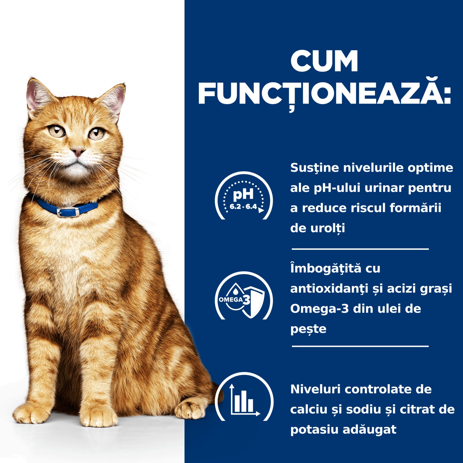 HILL'S Prescription Diet c/d Urinary Pui dietă veterinară pisici hrană uscată afecțiuni urinare c/d Urinary Care Pui dietă veterinară pisici hrană uscată sistem urinar 1.5kg
