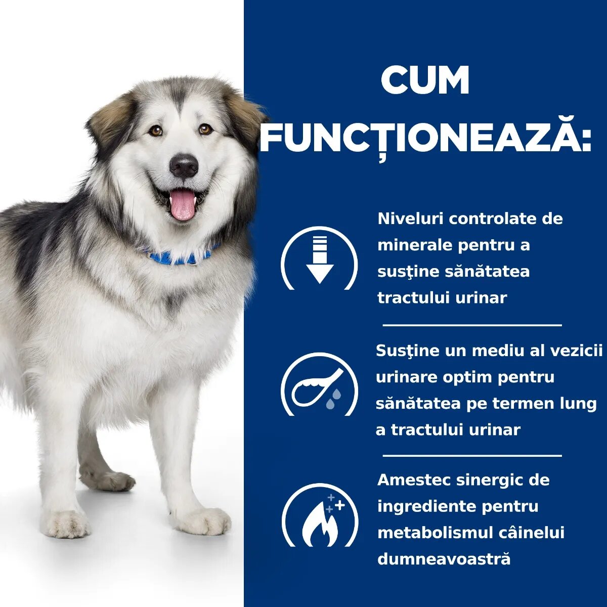 HILL'S Prescription Diet c/d Urinary + Weight Care + Metabolic Pui dietă veterinară câini hrană uscată afecțiuni urinare și metabolice c/d Urinary + Weight Care + Metabolic Pui dietă veterinară câini hrană uscată sistem u