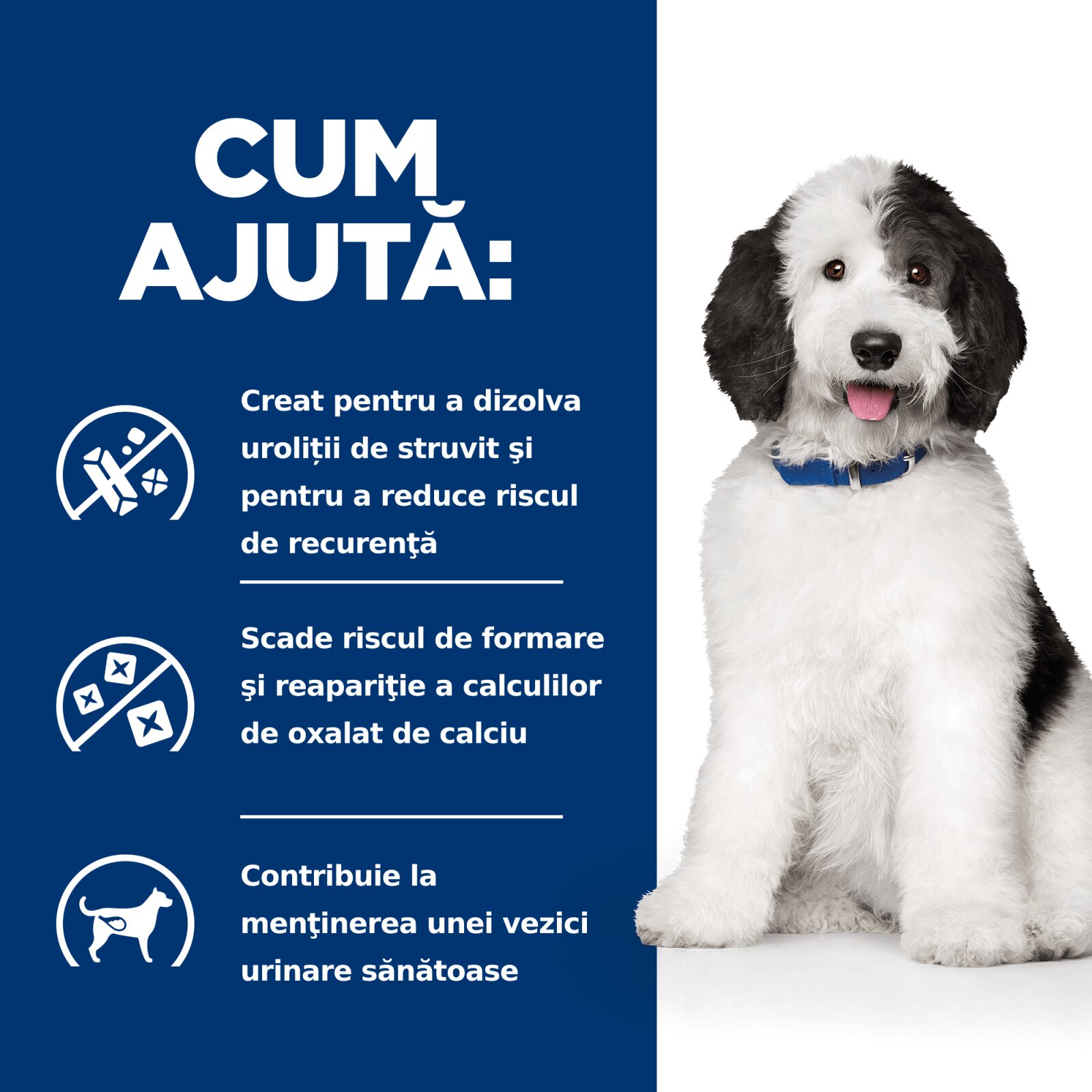 HILL'S Prescription Diet c/d Urinary + Weight Care Pui cu Legume dietă veterinară câini conservă hrană umedă afecțiuni urinare c/d Urinary Care Pui cu Legume dietă veterinară câini conservă hrană umedă sistem urinar (în