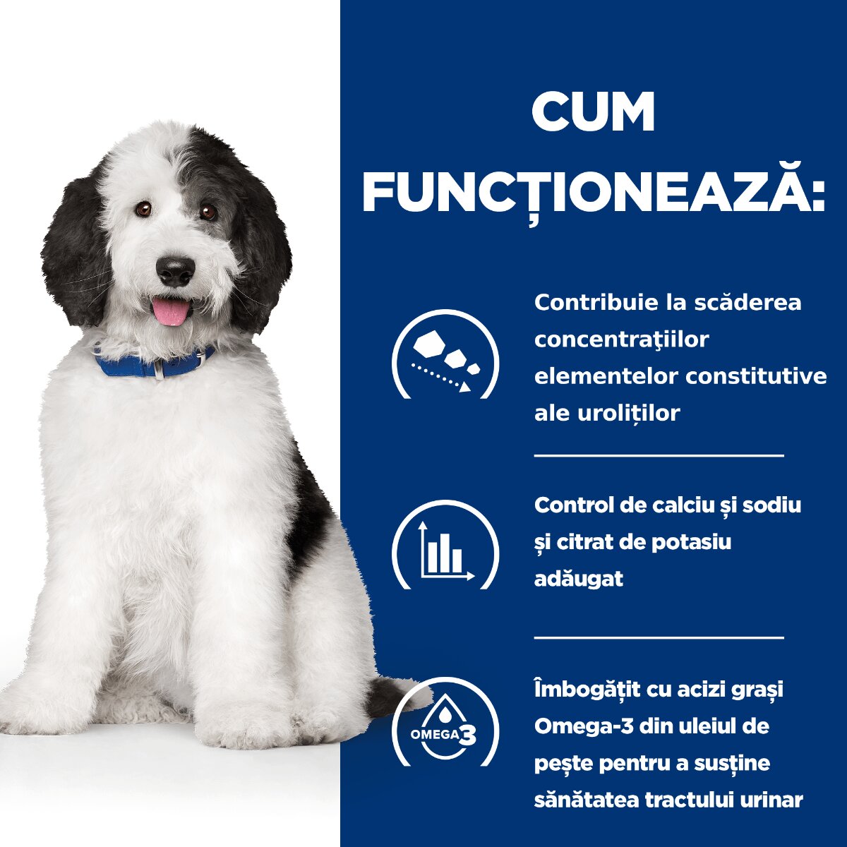 HILL'S Prescription Diet c/d + Weight Care Pui cu Legume dietă veterinară câini conservă hrană umedă sistem urinar și controlul greutății 156g