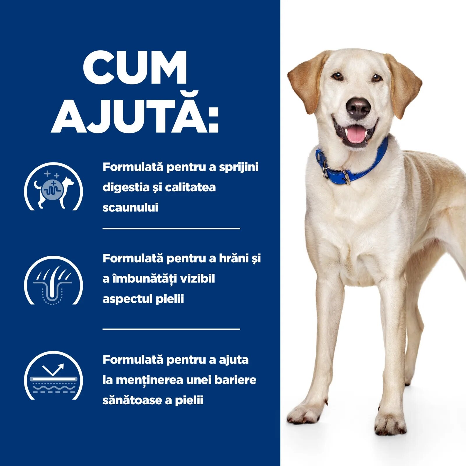 HILL'S Prescription Diet d/d Food Sensitivities Rață cu Orez dietă veterinară câini hrană uscată sensibilități digestive d/d Food Sensitivities Rață cu Orez dietă veterinară câini hrană uscată piele si blana sistem dige