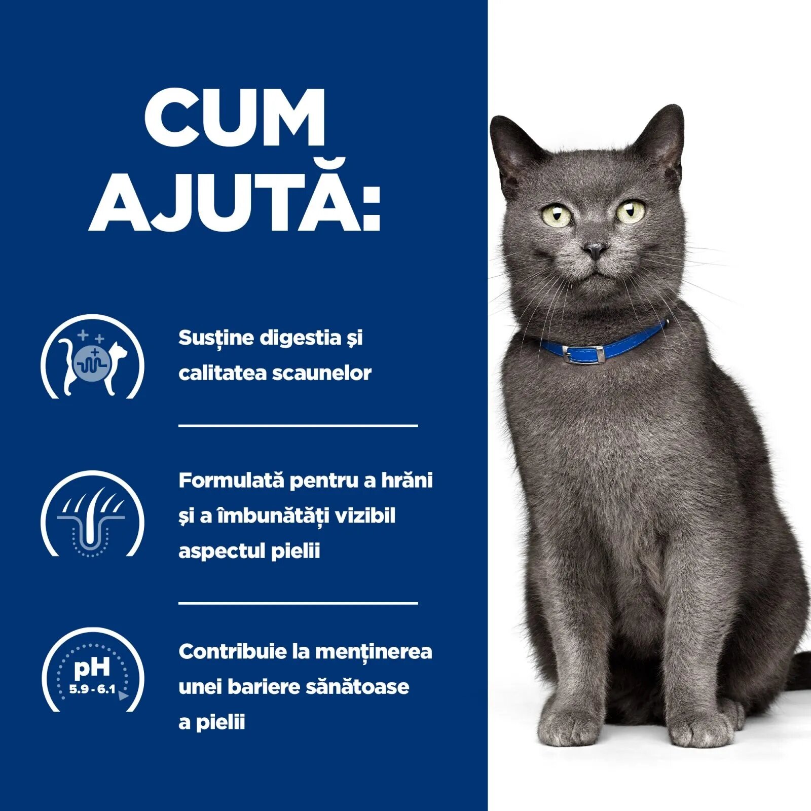 HILL'S Prescription Diet d/d Rață cu Mazăre dietă veterinară pisici hrană uscată sensibilități digestive d/d Rață cu Mazăre dietă veterinară pisici hrană uscată afecțiuni dermatologice și sistem digestiv 1.5kg