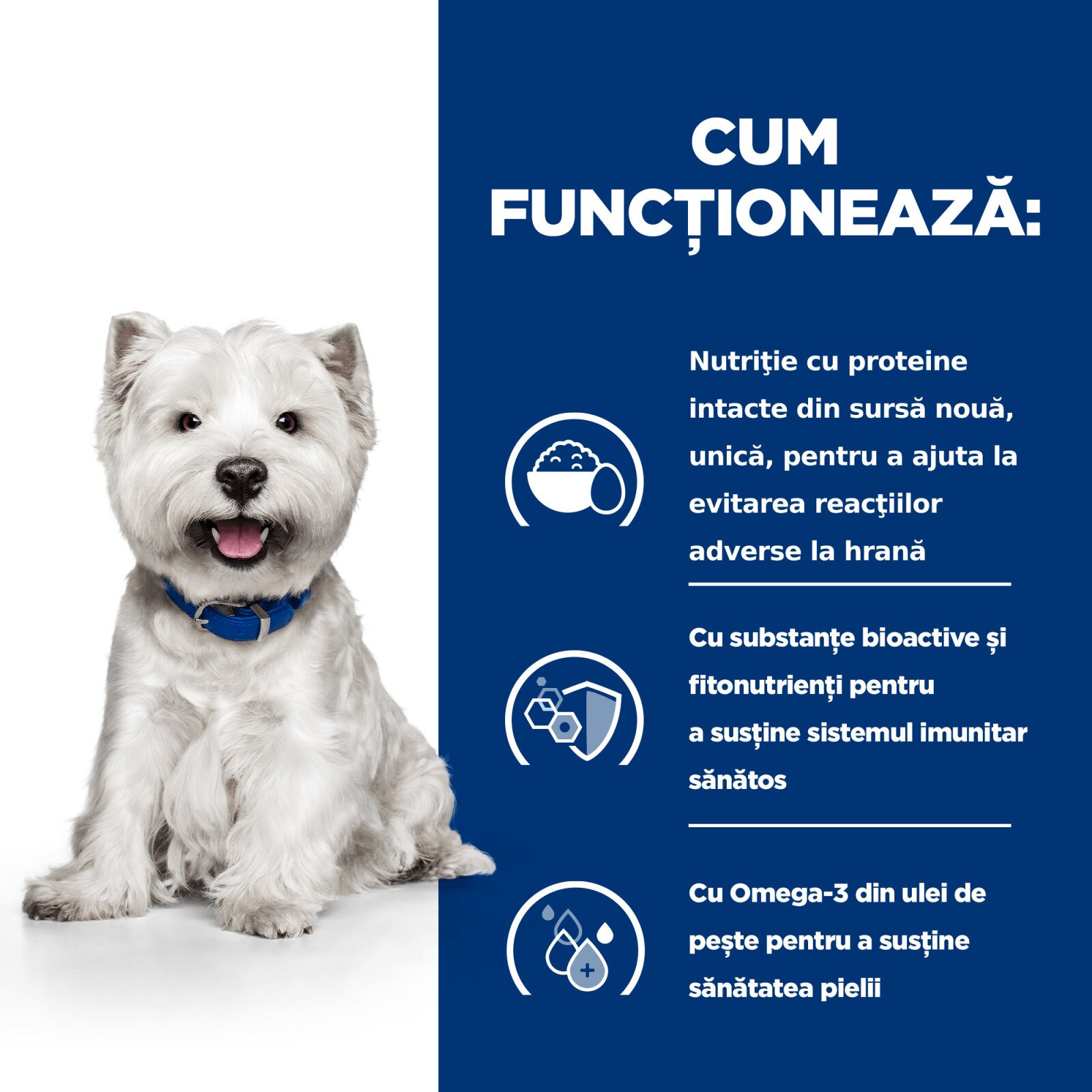 HILL'S Prescription Diet Derm Complete Mini dietă veterinară câini hrană uscată afecțiuni dermatologice Derm Complete Mini dietă veterinară câini hrană uscată piele & blana 1kg