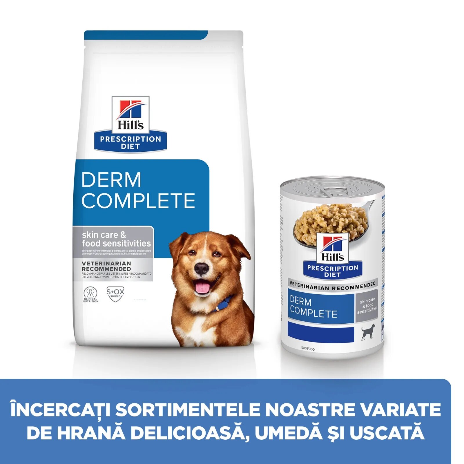 HILL'S Prescription Diet Derm Complete XS-XL Ou dietă veterinară conservă hrană umedă câini piele & blană (pate) Derm Complete dietă veterinară câini conservă hrană umedă piele & blana (în sos) bax 370g x 6buc