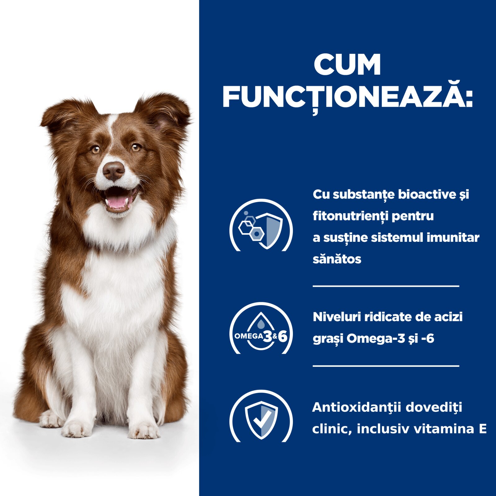 HILL'S Prescription Diet Derm Defense Pui dietă veterinară câini hrană uscată afecțiuni dermatologice Derm Defense Pui dietă veterinară câini hrană uscată piele & blana 12kg