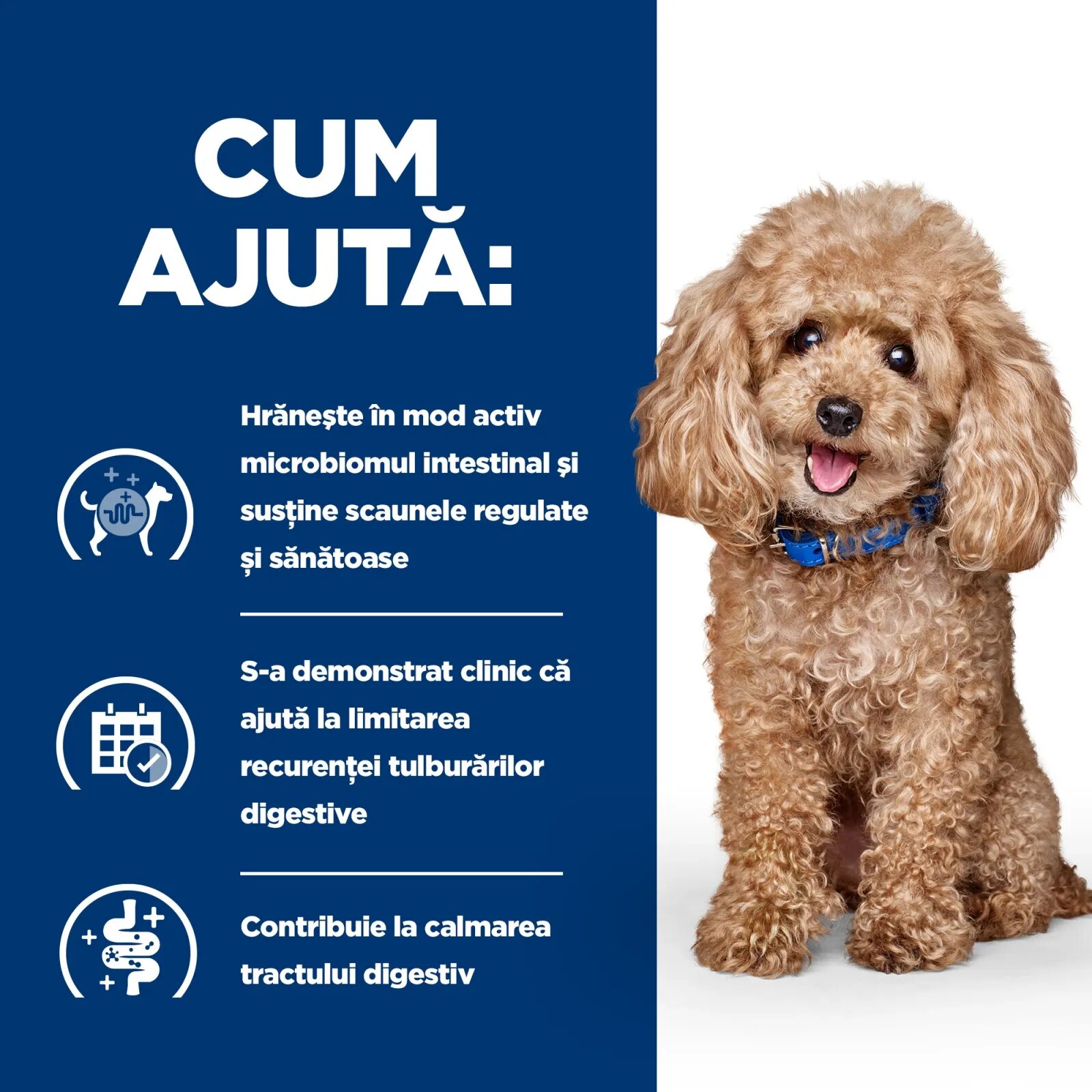 HILL'S Prescription Diet Gastrointestinal Biome Mini Pui dietă veterinară câini hrană uscată afecțiuni digestive Gastrointestinal Biome Mini Pui dietă veterinară câini hrană uscată sistem digestiv 3kg