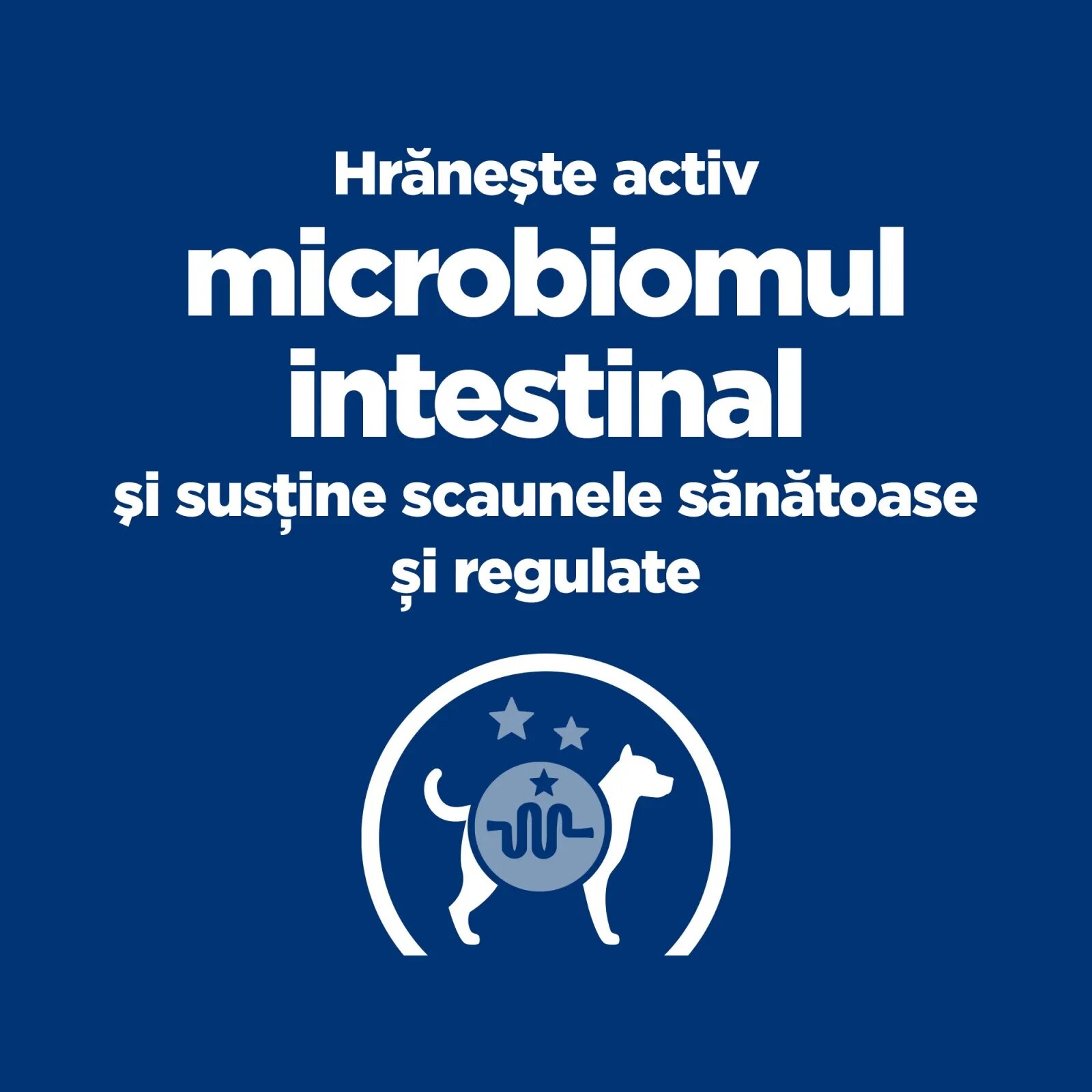 HILL'S Prescription Diet Gastrointestinal Biome Mini Pui dietă veterinară câini hrană uscată afecțiuni digestive Gastrointestinal Biome Mini Pui dietă veterinară câini hrană uscată sistem digestiv 6kg