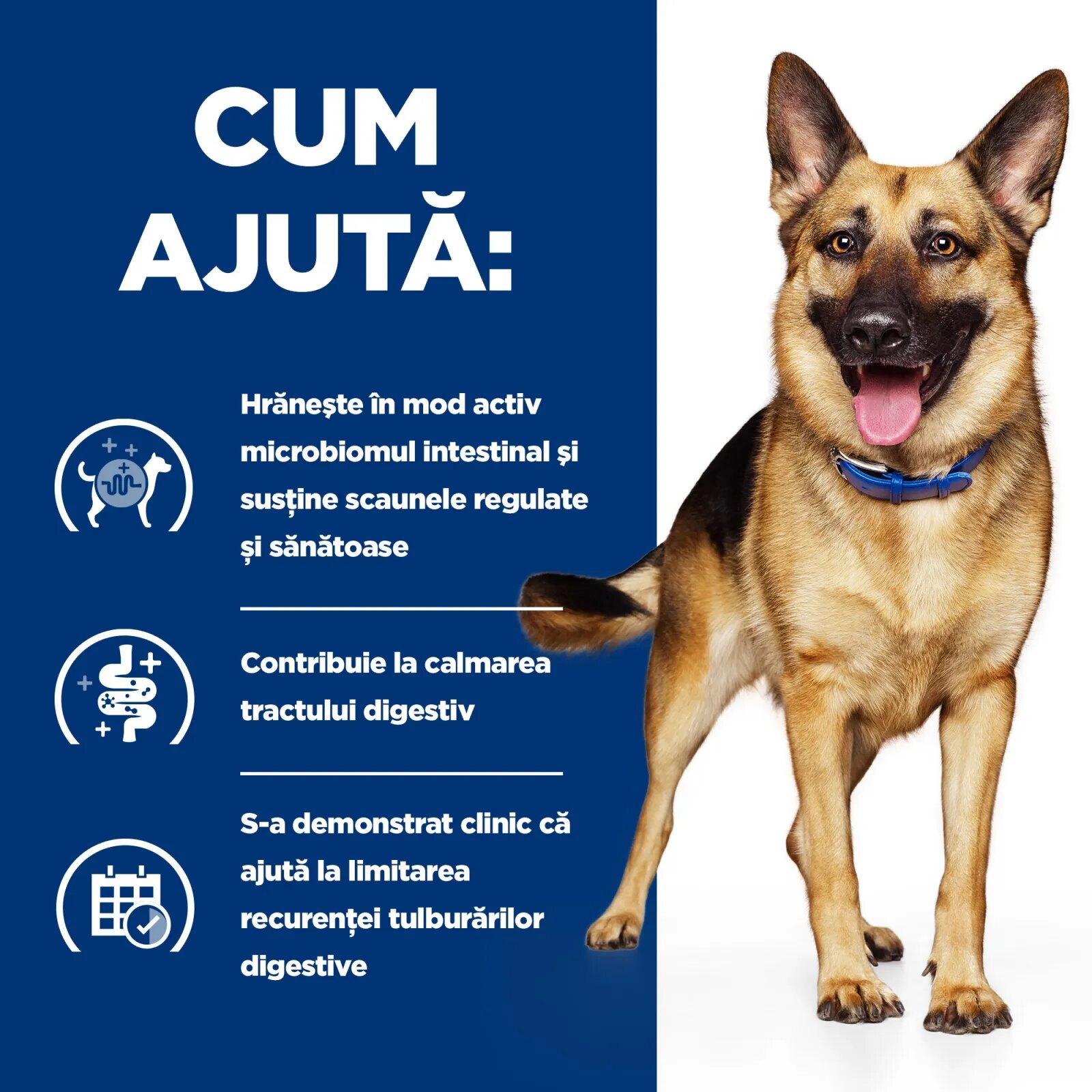 HILL'S Prescription Diet Gastrointestinal Biome Pui cu Legume dietă veterinară câini conservă hrană umedă sistem digestiv 354g