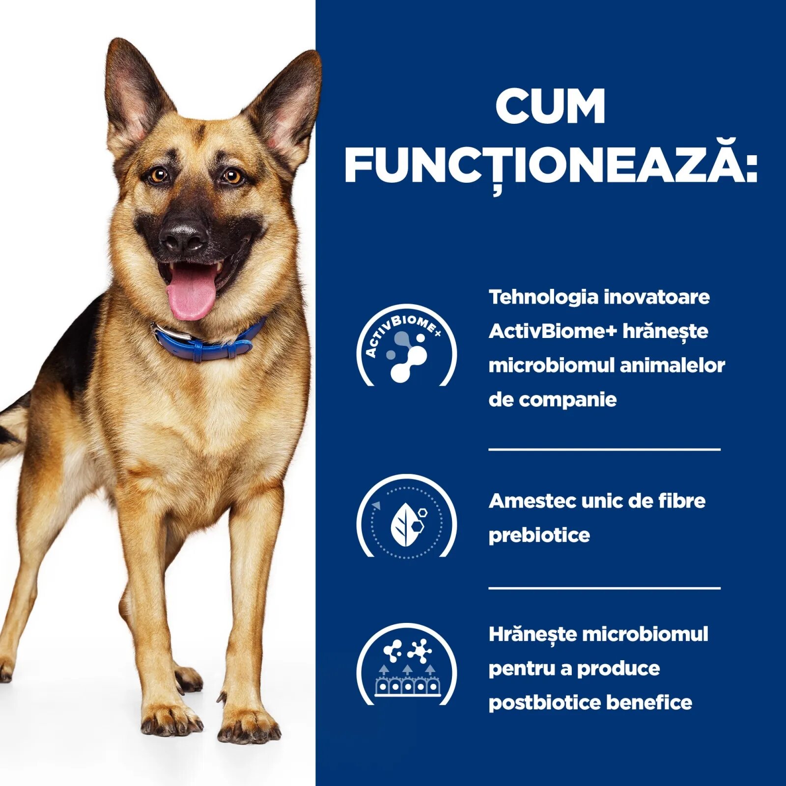HILL'S Prescription Diet Gastrointestinal Biome Pui cu Legume dietă veterinară câini conservă hrană umedă sistem digestiv 354g