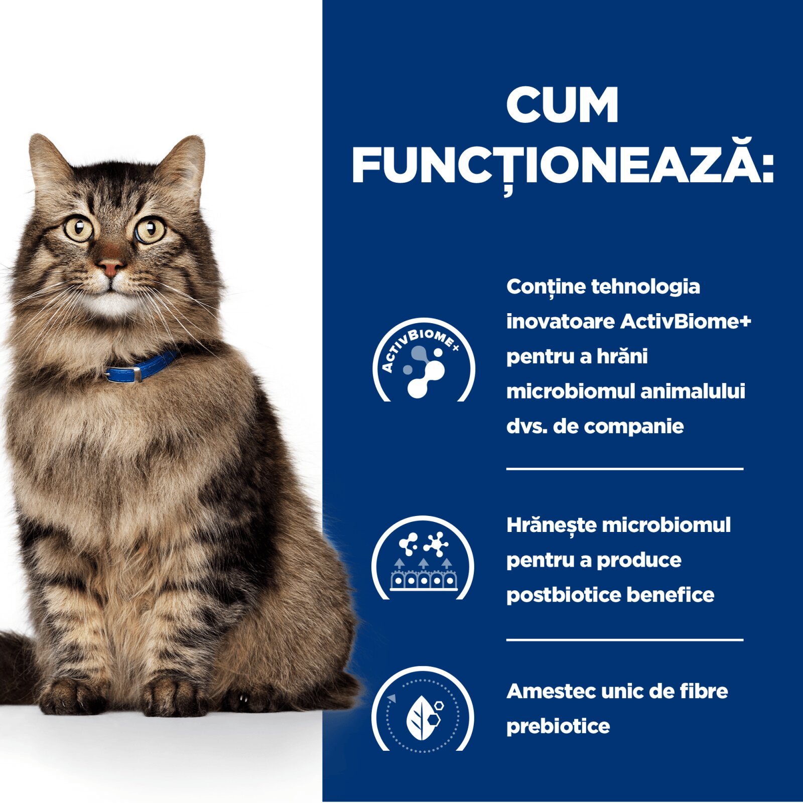 HILL'S Prescription Diet Gastrointestinal Biome Pui cu Legume dietă veterinară pisici conservă hrană umedă sistem digestiv 82g
