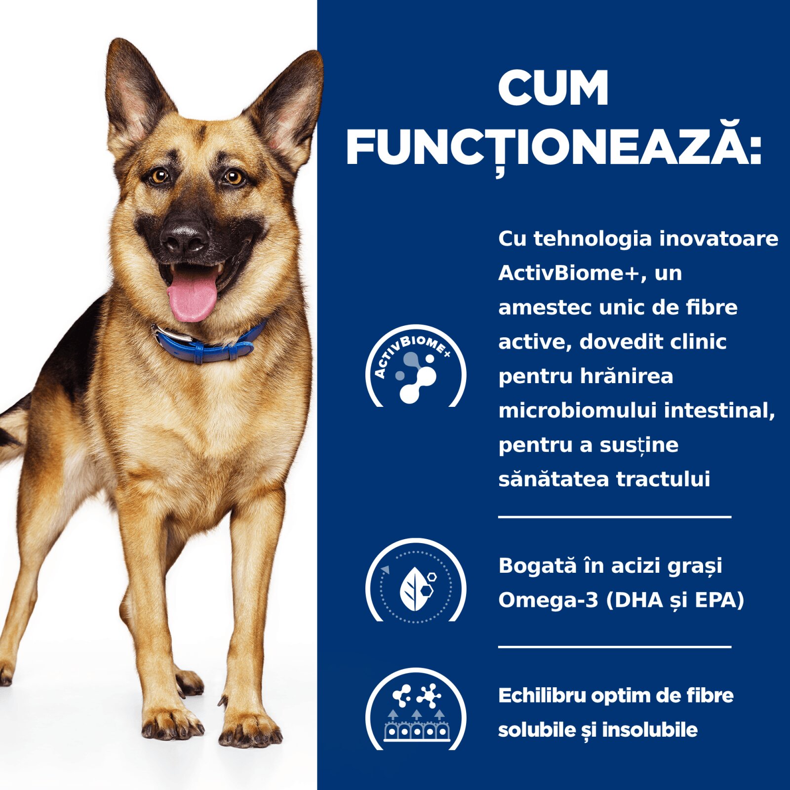 HILL'S Prescription Diet Gastrointestinal Biome Pui dietă veterinară câini hrană uscată afecțiuni digestive Gastrointestinal Biome Pui dietă veterinară câini hrană uscată sistem digestiv 10kg