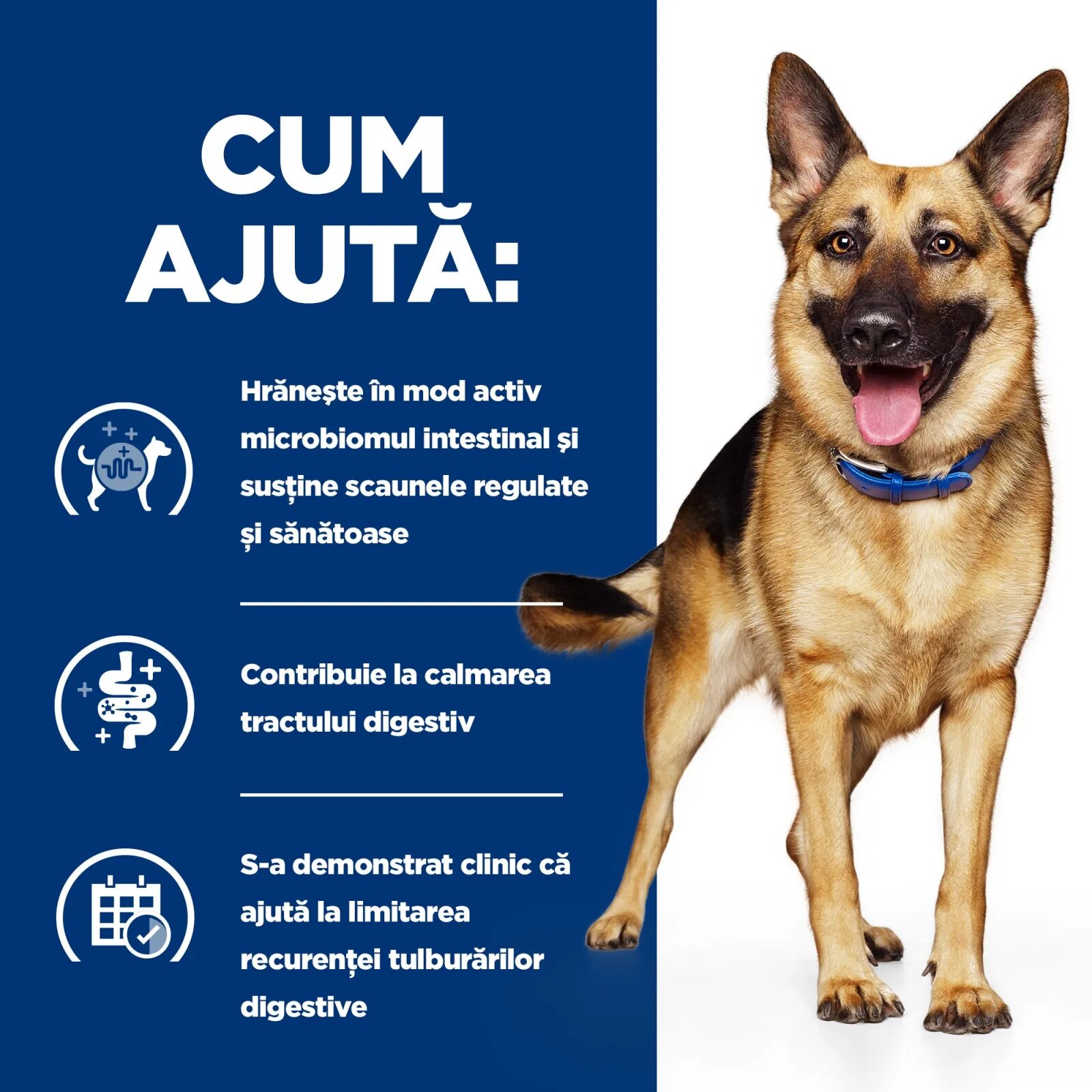 HILL'S Prescription Diet Gastrointestinal Biome Pui dietă veterinară câini hrană uscată afecțiuni digestive Gastrointestinal Biome Pui dietă veterinară câini hrană uscată sistem digestiv 10kg