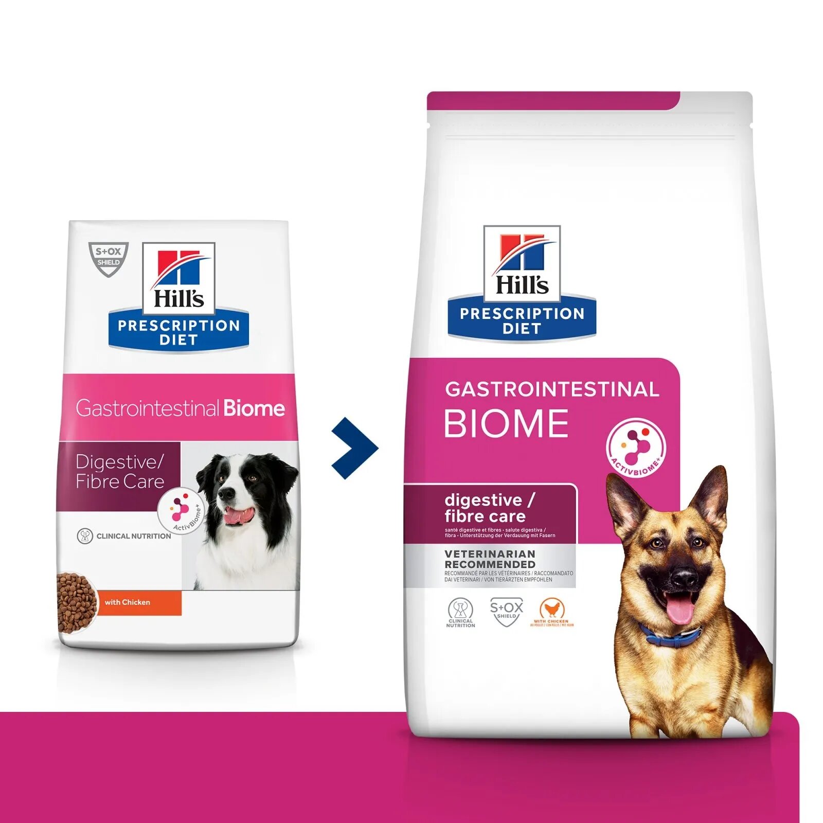 HILL'S Prescription Diet Gastrointestinal Biome Pui dietă veterinară câini hrană uscată afecțiuni digestive Gastrointestinal Biome Pui dietă veterinară câini hrană uscată sistem digestiv 4kg