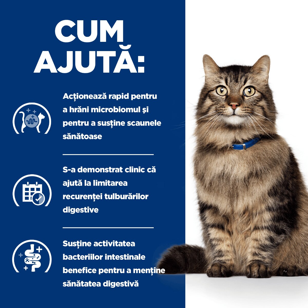 HILL'S Prescription Diet Gastrointestinal Biome Pui dietă veterinară plic hrană umedă pisici sistem digestiv & probiotice bax 85g x 12buc
