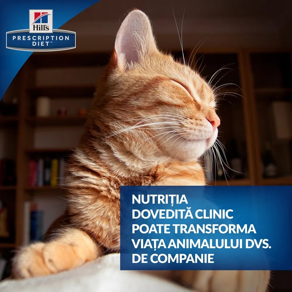HILL'S Prescription Diet Hill's PD Feline k/d - Afectiuni Renale 156 g