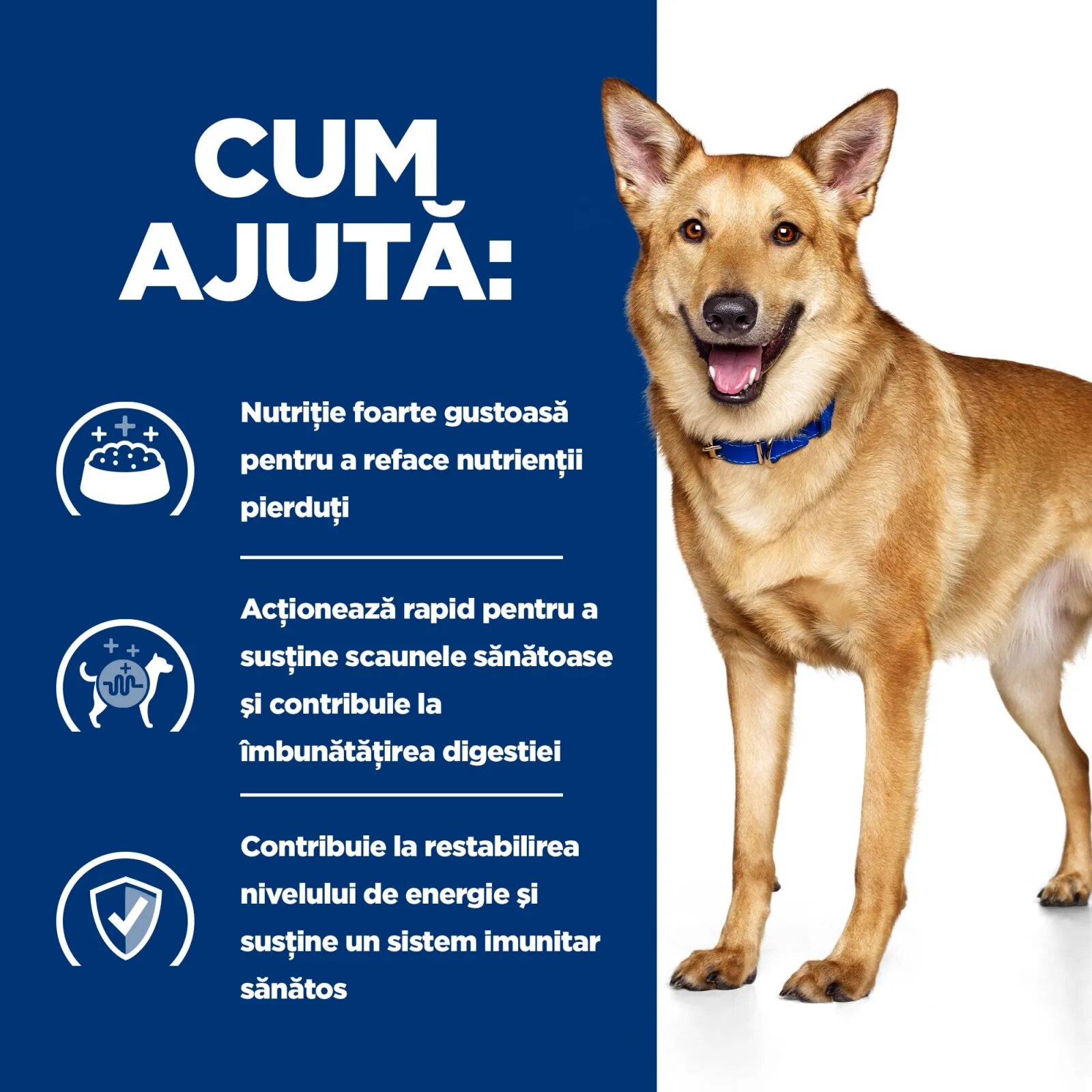 HILL'S Prescription Diet HILL'Sss Prescription Diet i/d Digestive Care Pui dietă veterinară câini hrană uscată sensibilități digestive i/d Digestive Care Pui dietă veterinară câini hrană uscată sistem digestiv 12kg