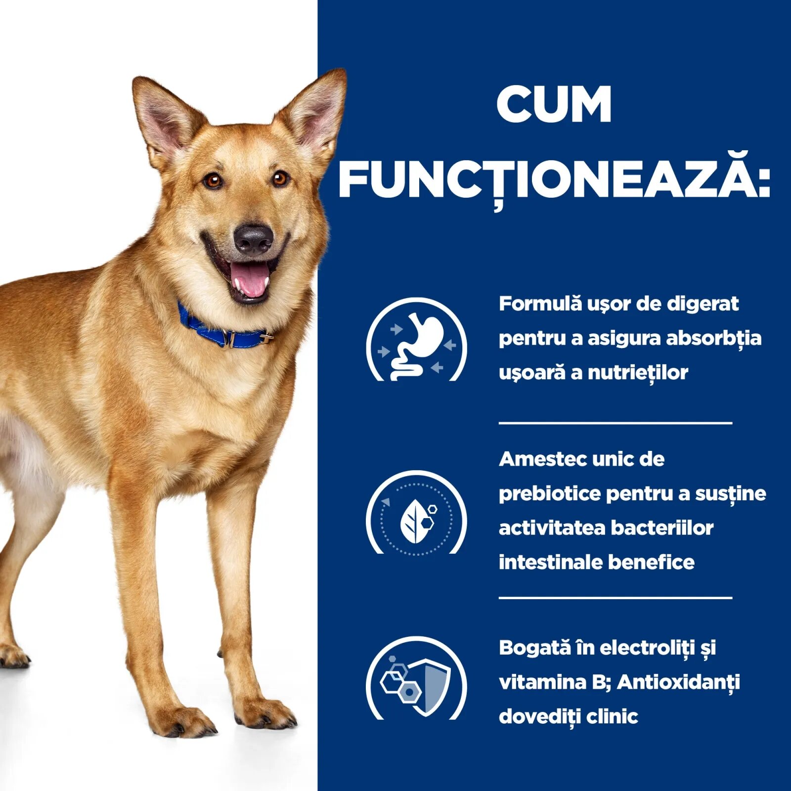 HILL'S Prescription Diet HILL'Sss Prescription Diet i/d Digestive Care Pui dietă veterinară câini hrană uscată sensibilități digestive i/d Digestive Care Pui dietă veterinară câini hrană uscată sistem digestiv 16kg