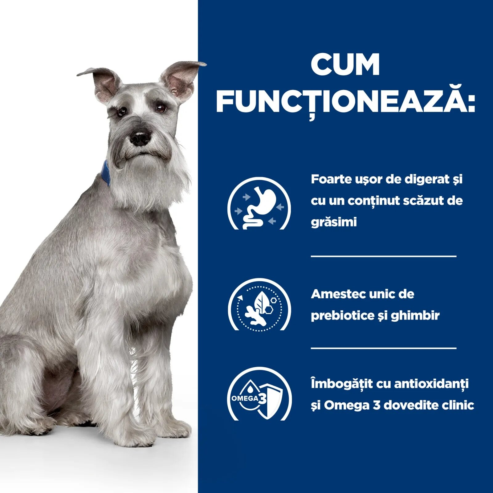 HILL'S Prescription Diet i/d Digestive Care Low Fat Pui cu Legume dietă veterinară câini conservă hrană umedă sensibilități digestive i/d Digestive Care Low Fat Pui cu Legume dietă veterinară câini conservă hrană umedă si