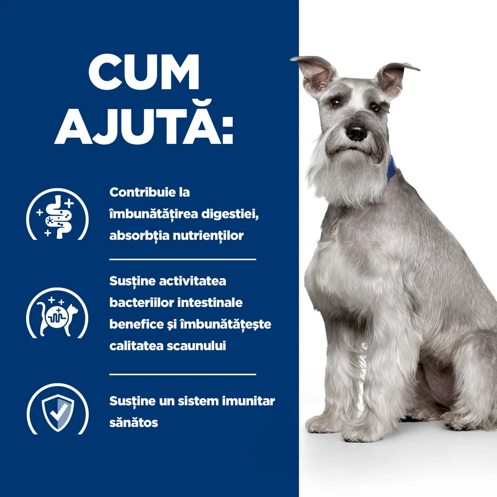 HILL'S Prescription Diet i/d Digestive Care Low Fat Pui cu Legume dietă veterinară câini conservă hrană umedă sensibilități digestive i/d Digestive Care Low Fat Pui cu Legume dietă veterinară câini conservă hrană umedă si