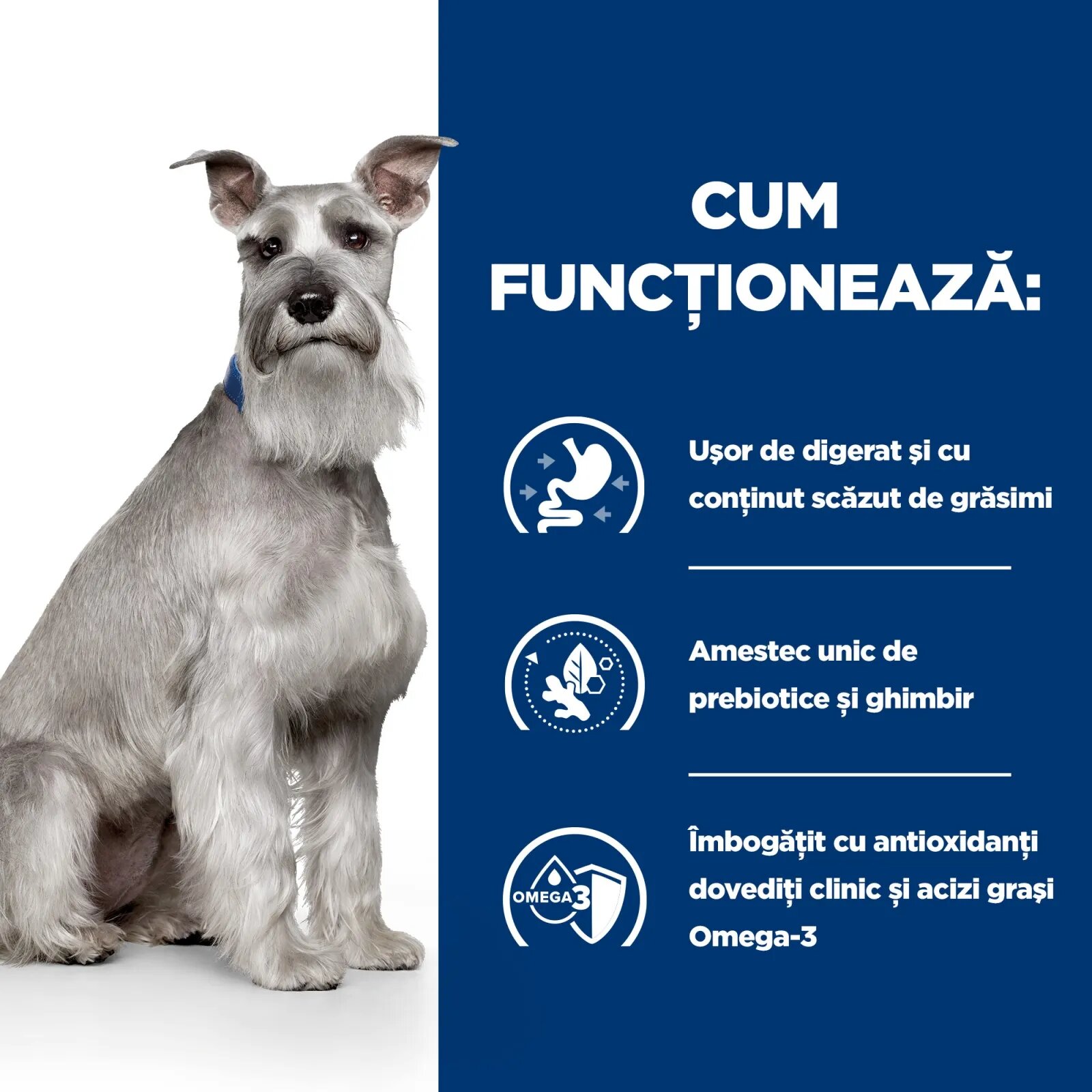 HILL'S Prescription Diet i/d Digestive Care Low Fat Pui dietă veterinară câini hrană uscată sensibilități digestive i/d Digestive Care Low Fat Pui dietă veterinară câini hrană uscată sistem digestiv 1.5kg