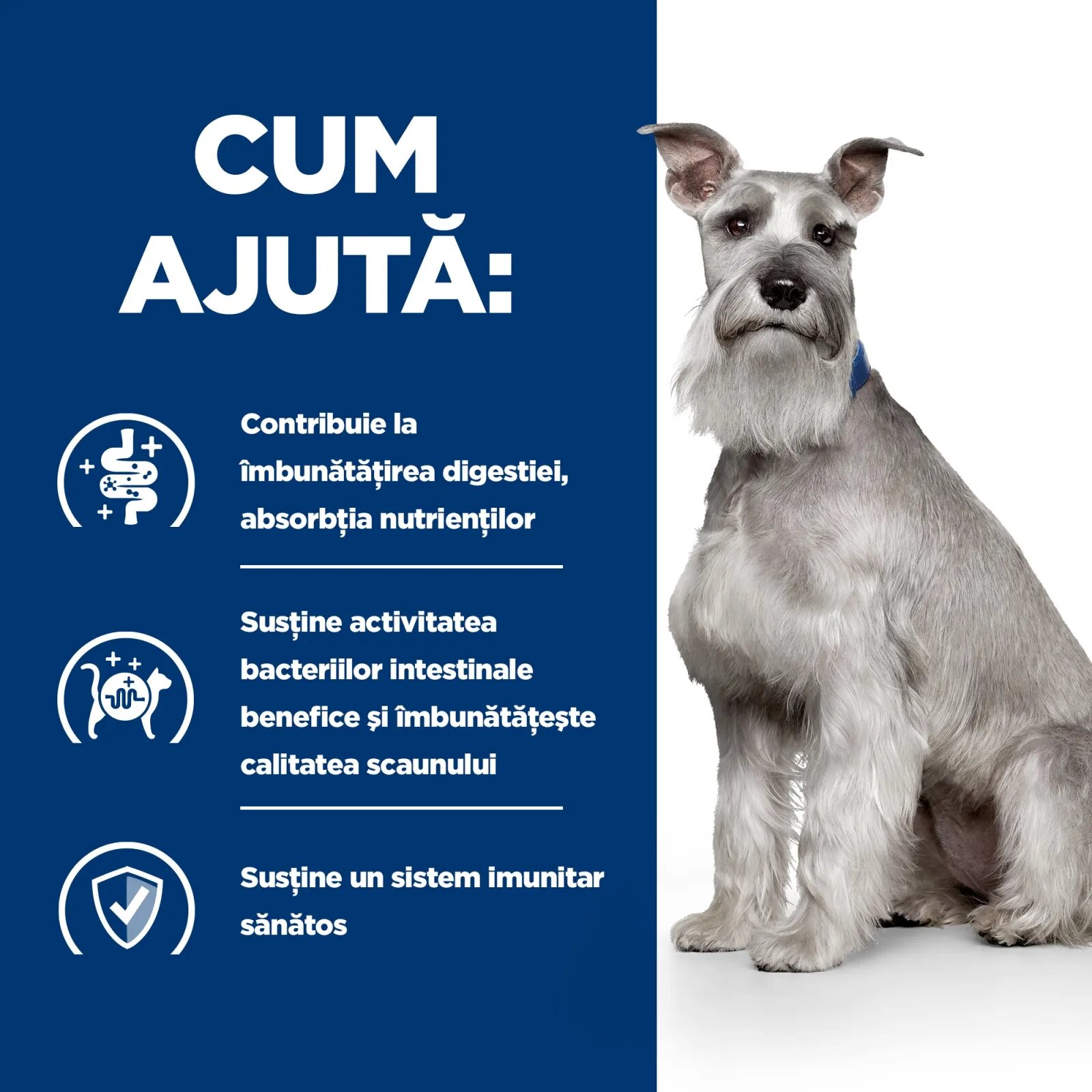 HILL'S Prescription Diet i/d Digestive Care Low Fat Pui dietă veterinară câini hrană uscată sensibilități digestive i/d Digestive Care Low Fat Pui dietă veterinară câini hrană uscată sistem digestiv 12kg