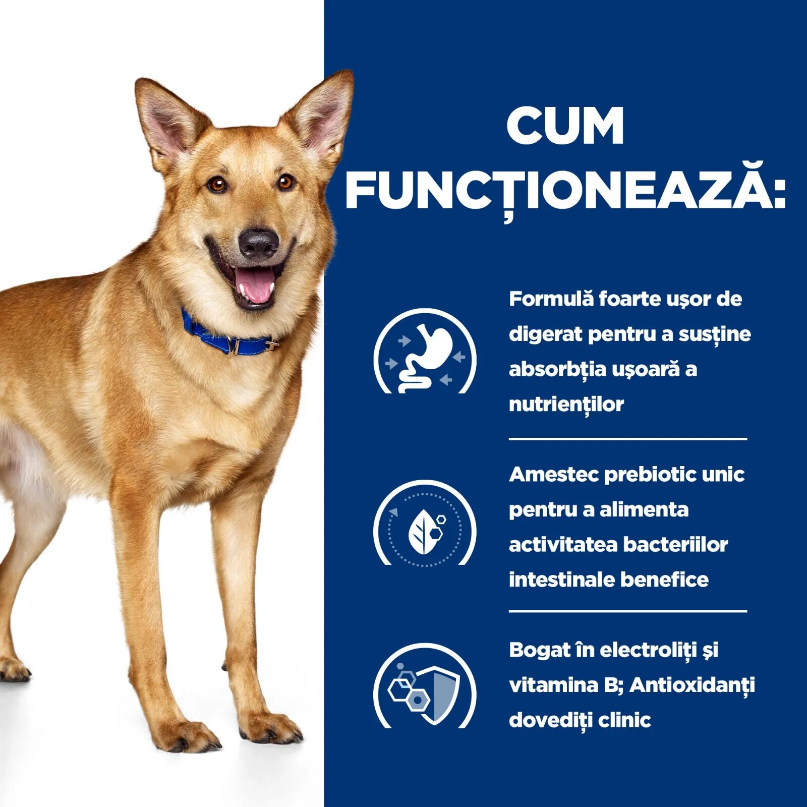 HILL'S Prescription Diet i/d Digestive Care Pui cu Legume dietă veterinară câini conservă hrană umedă sensibilități digestive i/d Digestive Care Pui cu Legume dietă veterinară câini conservă hrană umedă sistem digestiv (