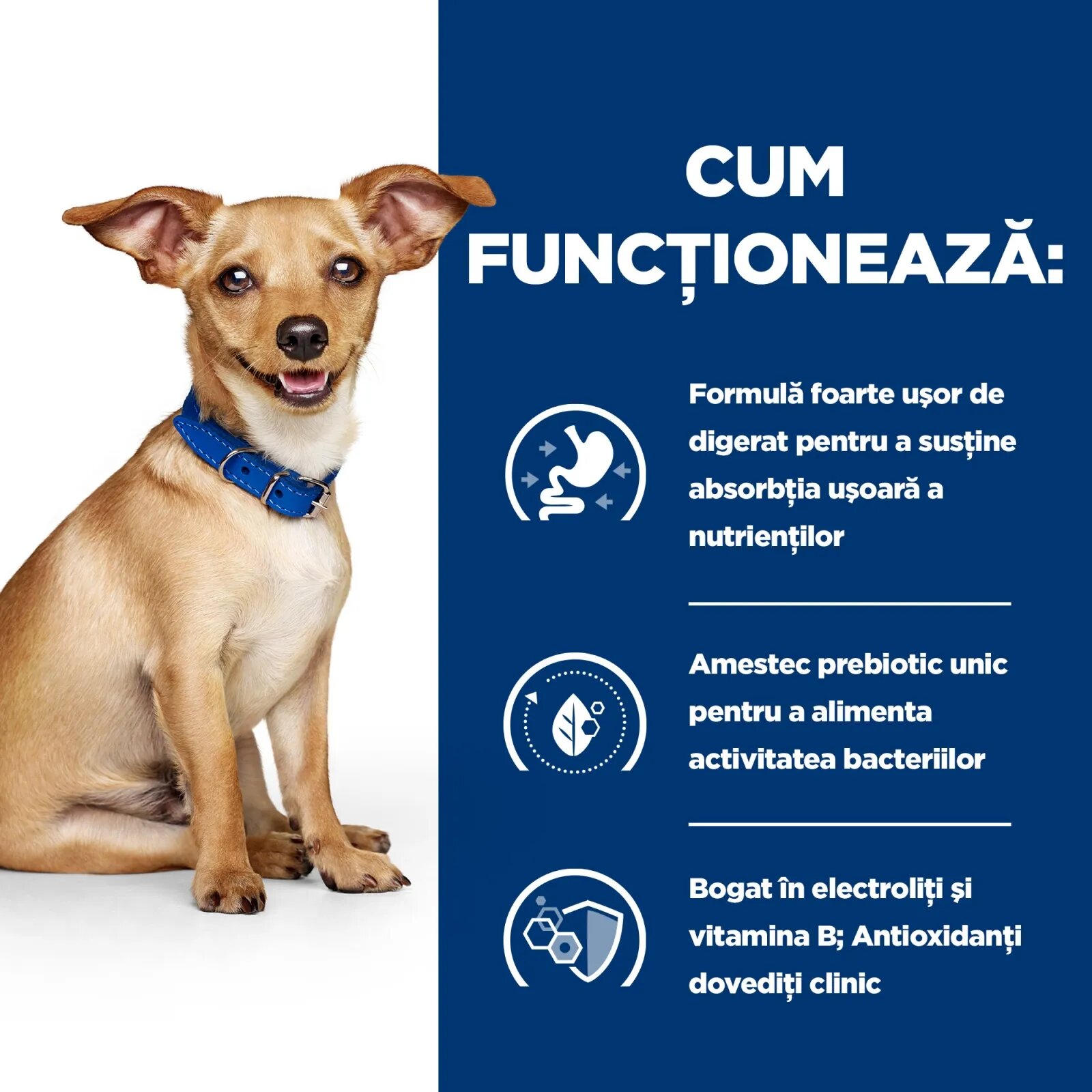HILL'S Prescription Diet i/d Digestive Care Pui cu Legume dietă veterinară câini conservă hrană umedă sensibilități digestive i/d Digestive Care Pui cu Legume dietă veterinară câini conservă hrană umedă sistem digestiv (