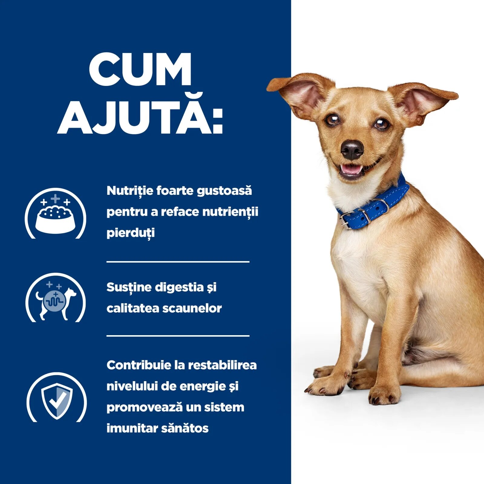 HILL'S Prescription Diet i/d Digestive Care Pui cu Legume dietă veterinară câini conservă hrană umedă sensibilități digestive i/d Digestive Care Pui cu Legume dietă veterinară câini conservă hrană umedă sistem digestiv (