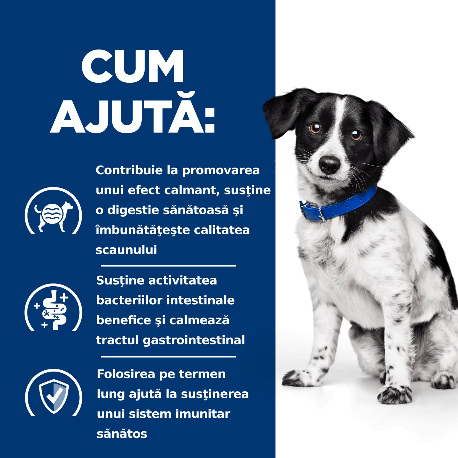 HILL'S Prescription Diet i/d Digestive Care Stress Mini Pui dietă veterinară câini hrană uscată sensibilități digestive i/d Digestive Care Stress Mini Pui dietă veterinară câini hrană uscată sistem digestiv 6kg