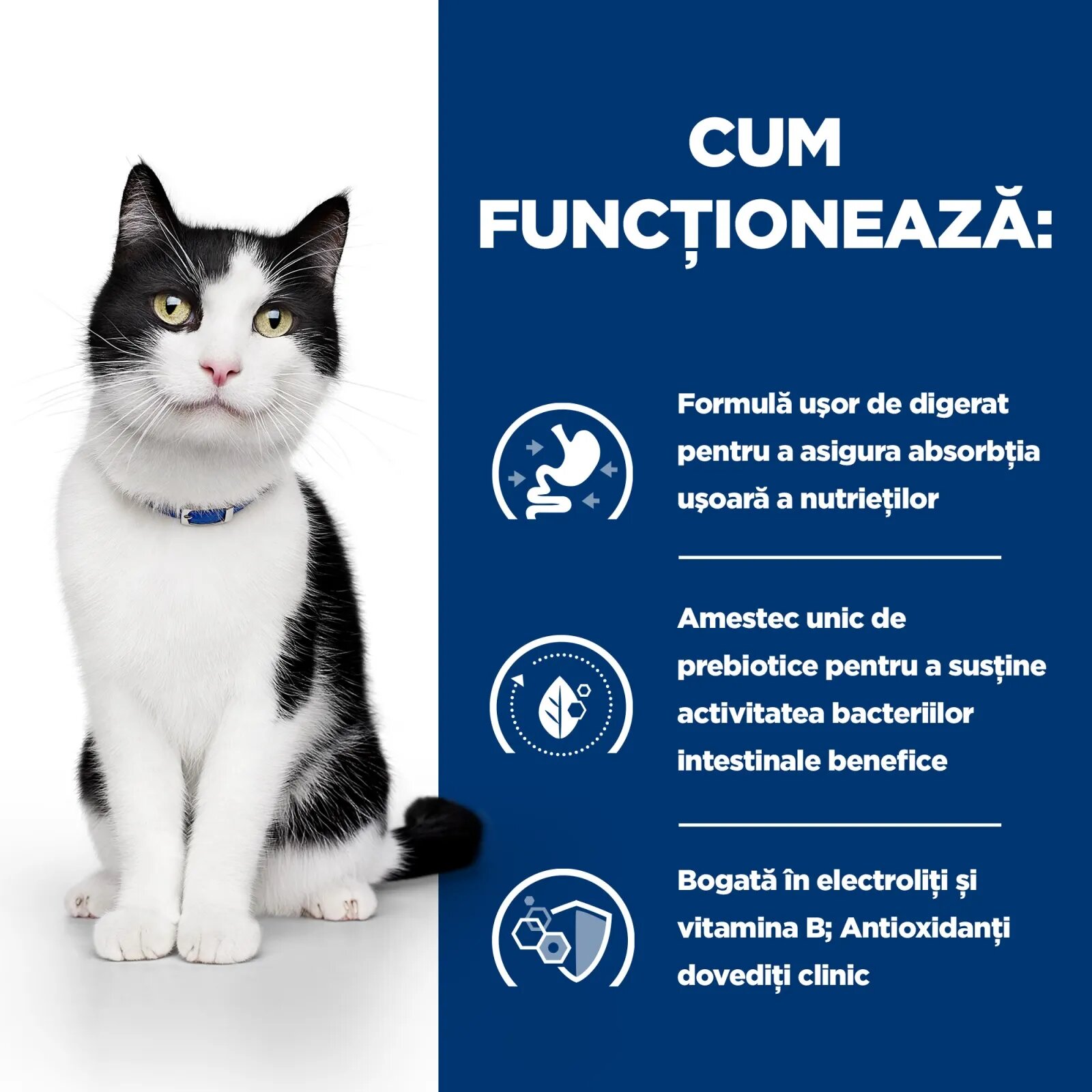 HILL'S Prescription Diet i/d Sensitive Digestive Care Pui cu Legume dietă veterinară pisici conservă hrană umedă sistem digestiv 82g